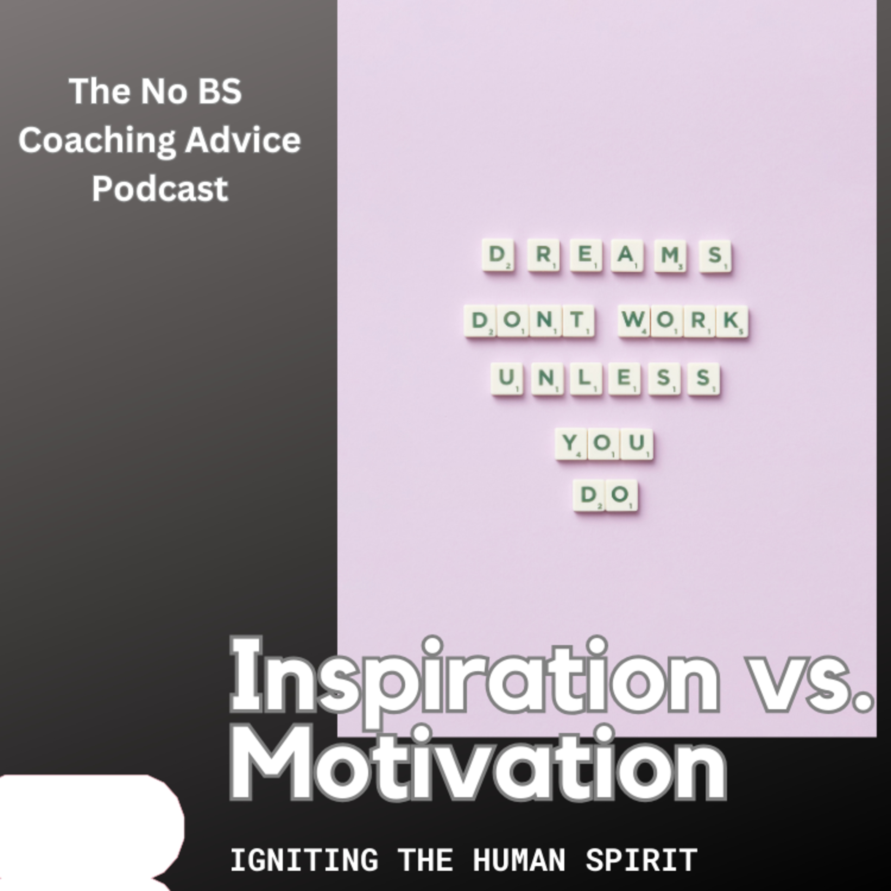 Inspiration vs. Motivation: Igniting the Human Spirit episode artwork