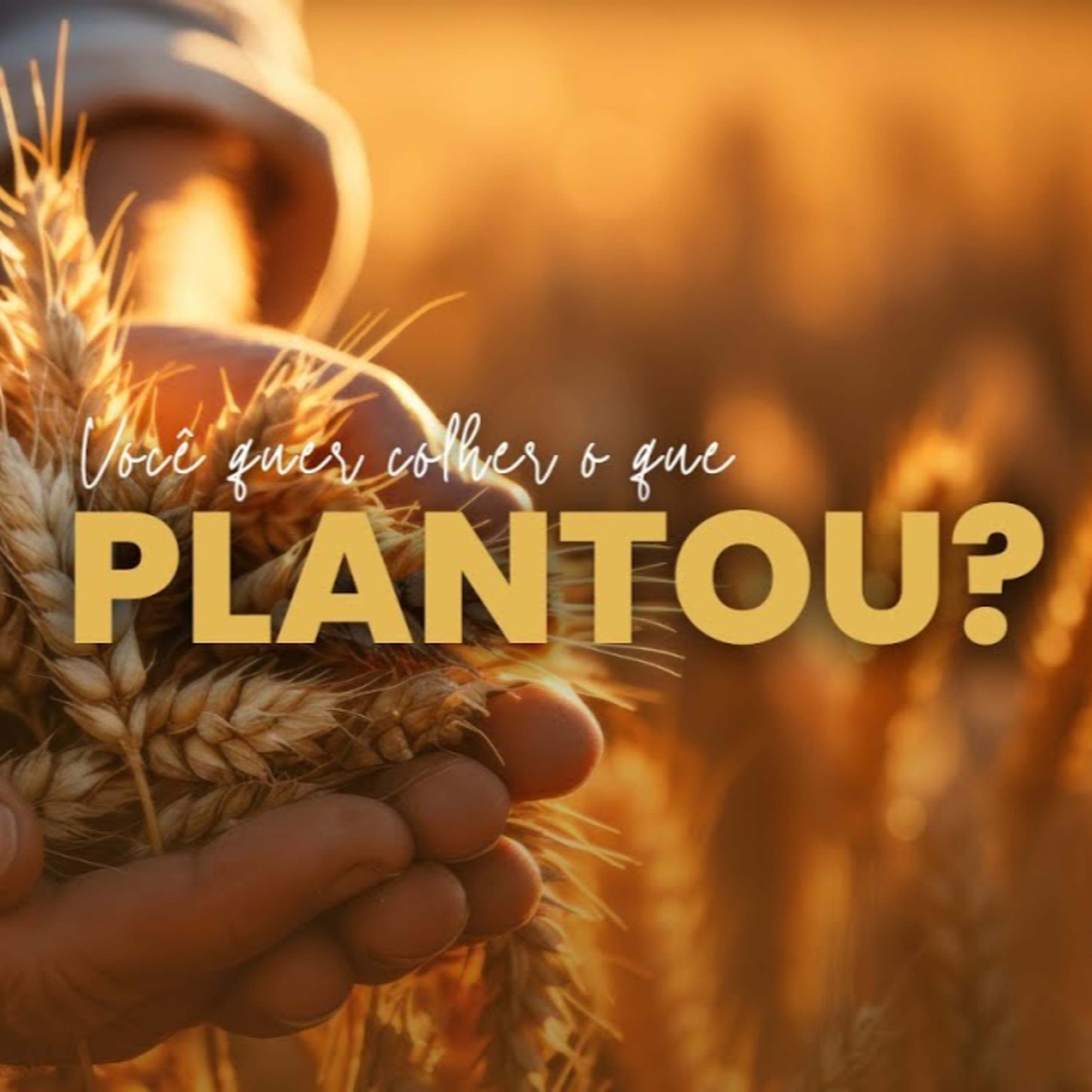 IEAB PRUDENTE - Igreja Evangélica Avivamento Bíblico de Presidente Prudente