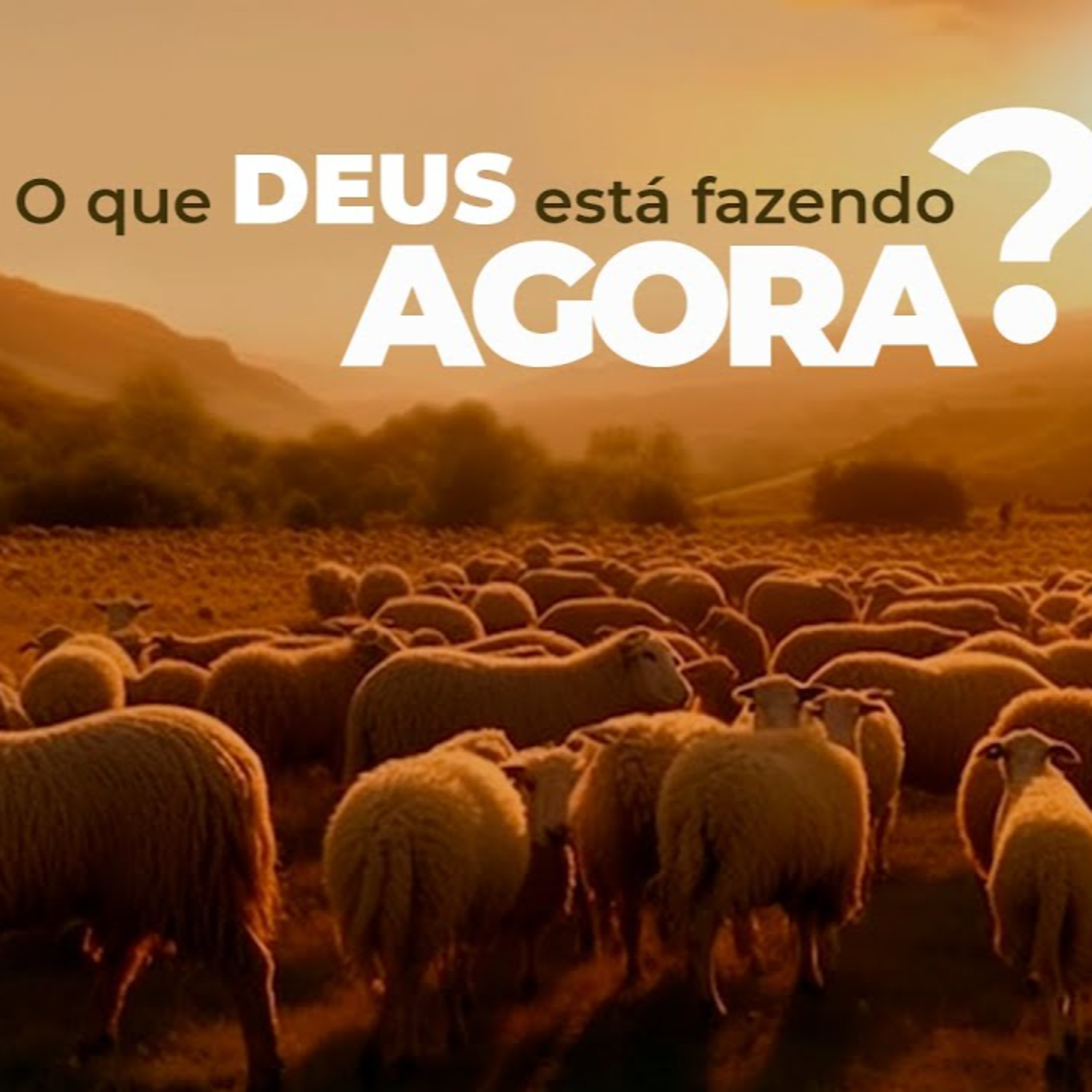 IEAB PRUDENTE - Igreja Evangélica Avivamento Bíblico de Presidente Prudente