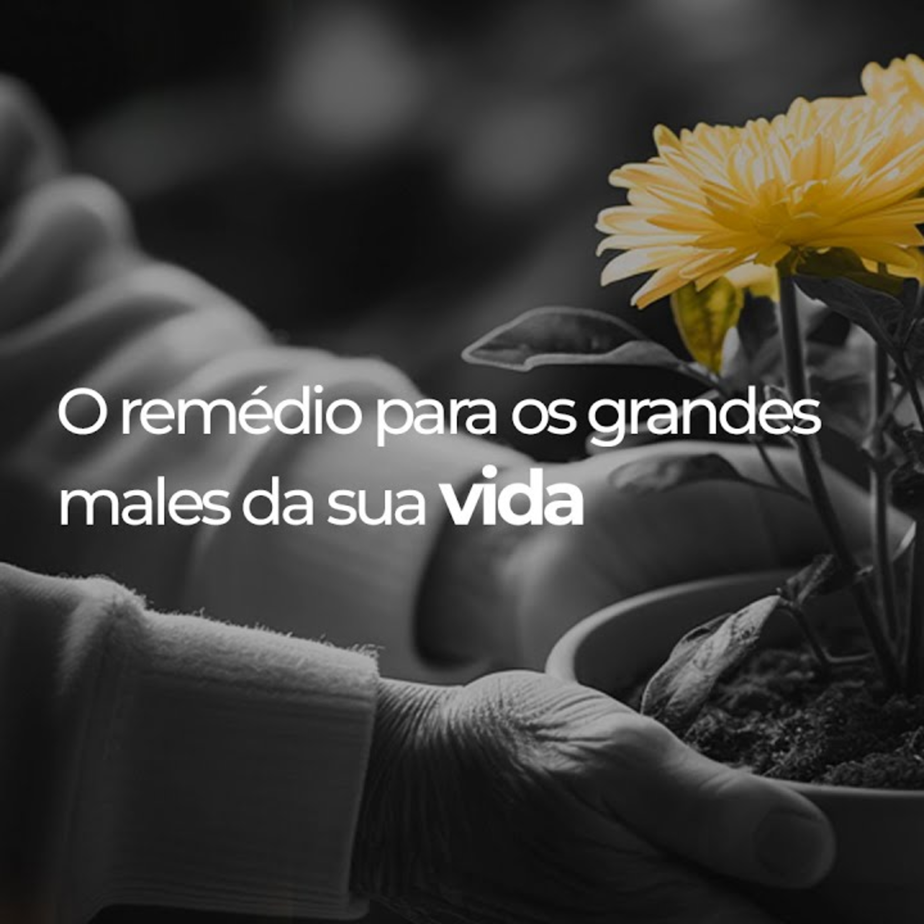 IEAB PRUDENTE - Igreja Evangélica Avivamento Bíblico de Presidente Prudente