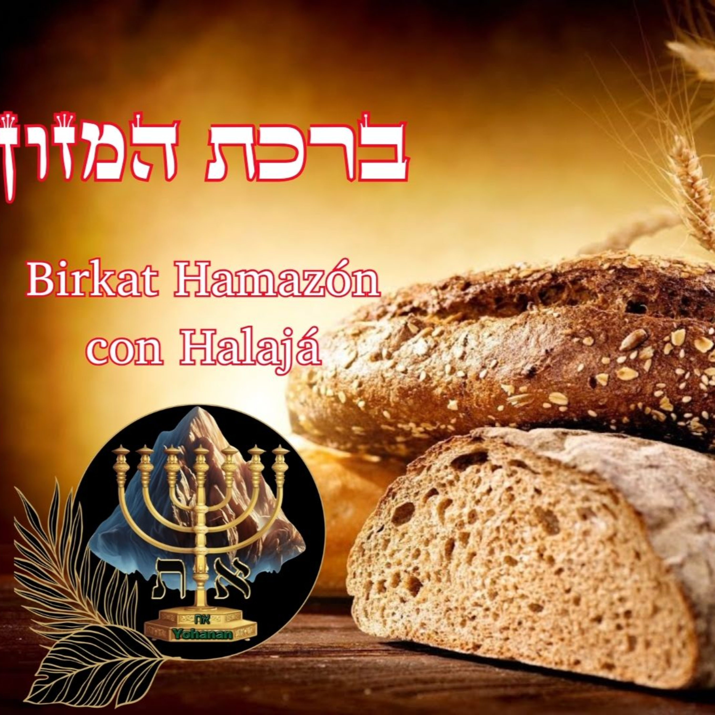 LOS FUNDAMENTOS DE LA TORÁ