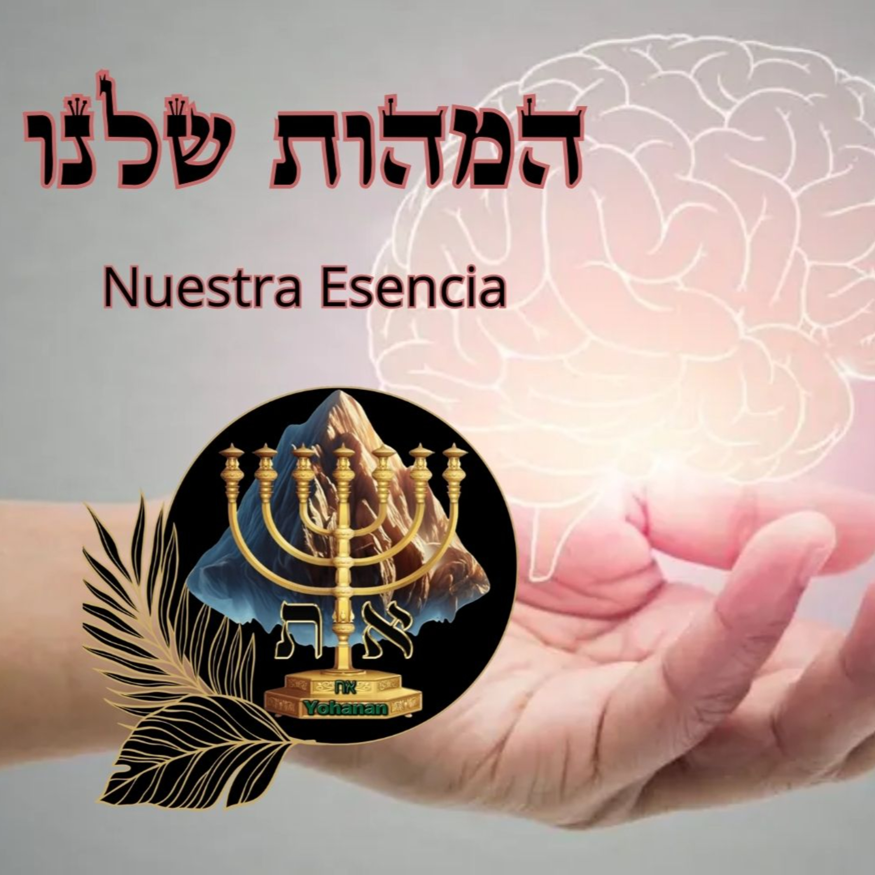 LOS FUNDAMENTOS DE LA TORÁ