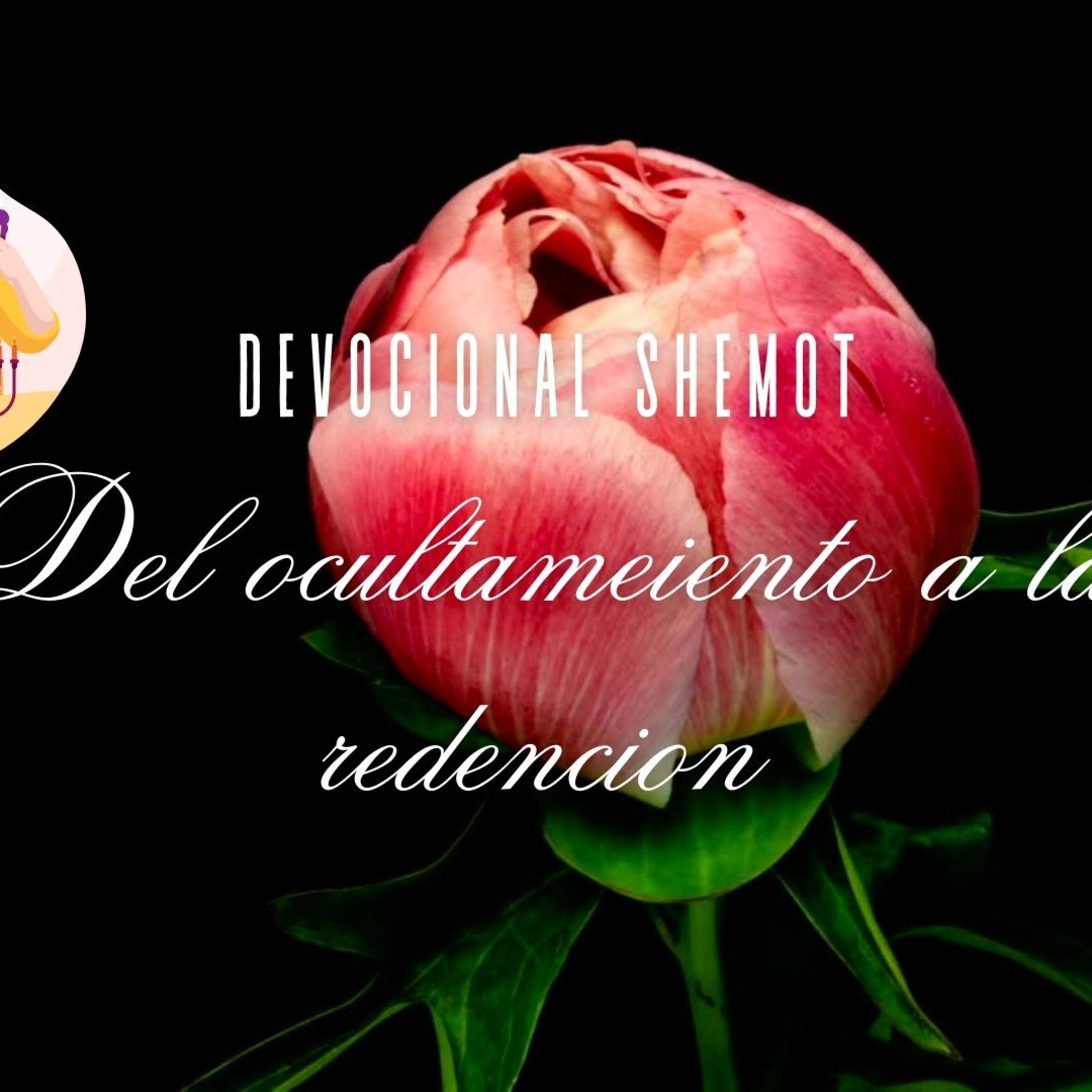 LOS FUNDAMENTOS DE LA TORÁ