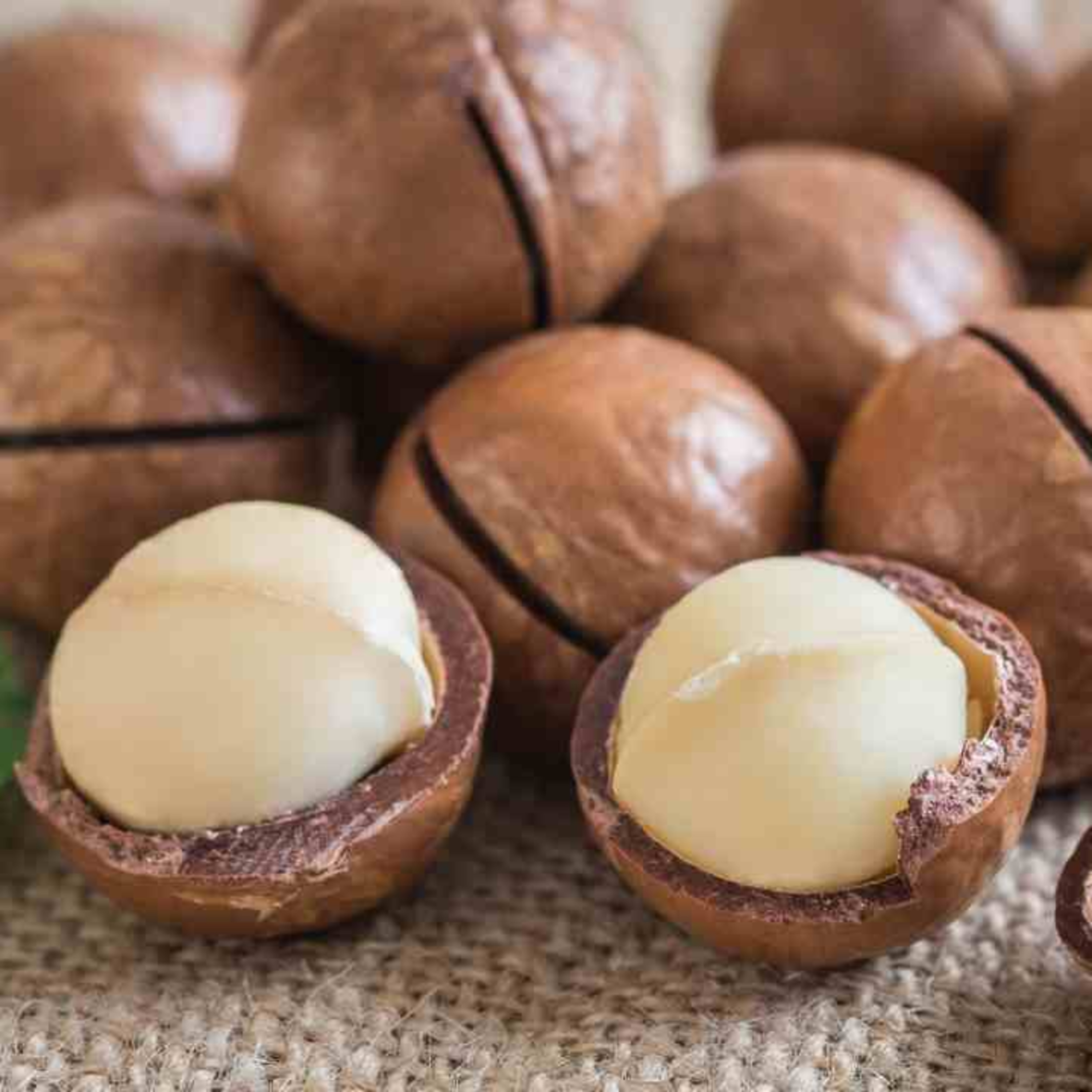 Julie Saad Wellness