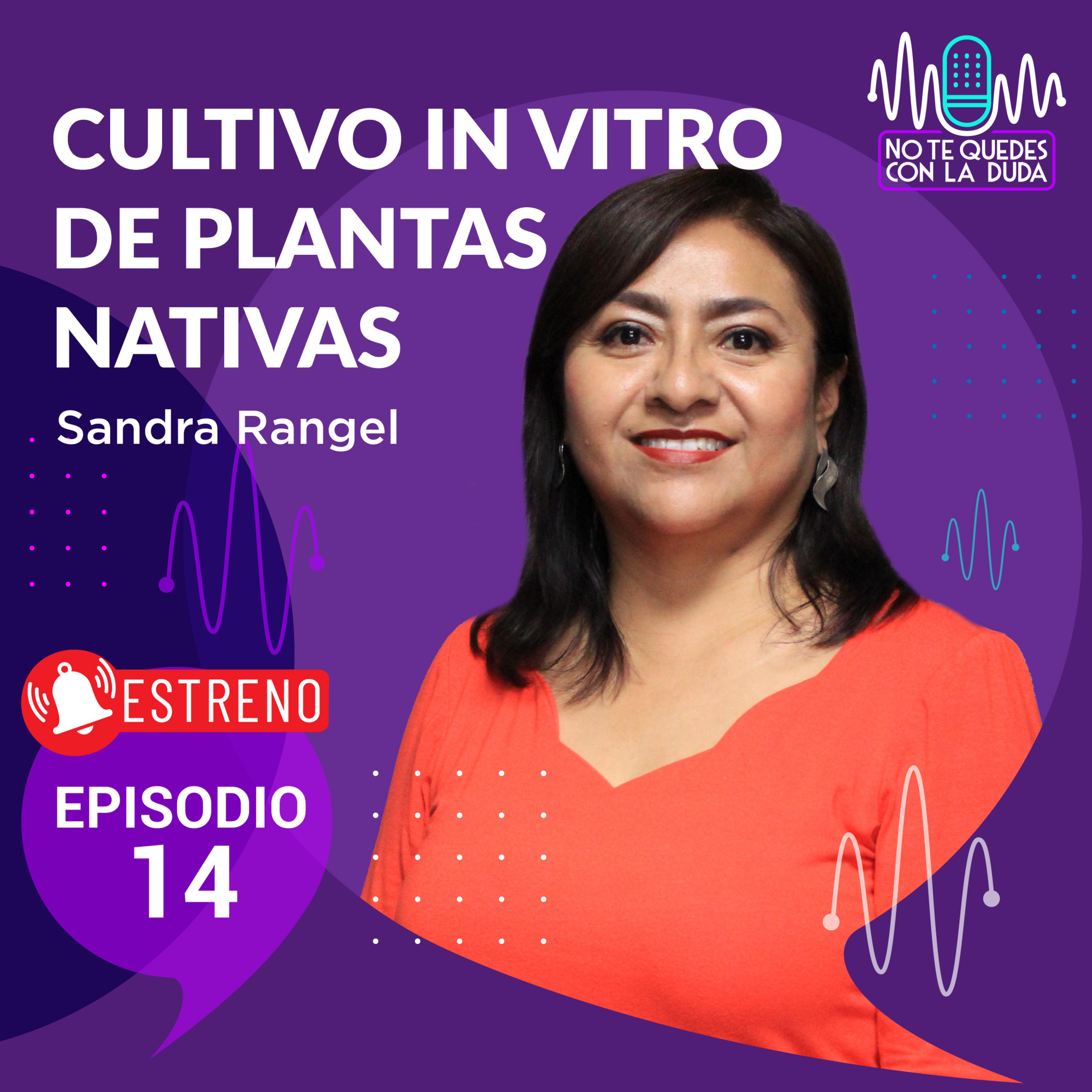 No te quedes con la duda