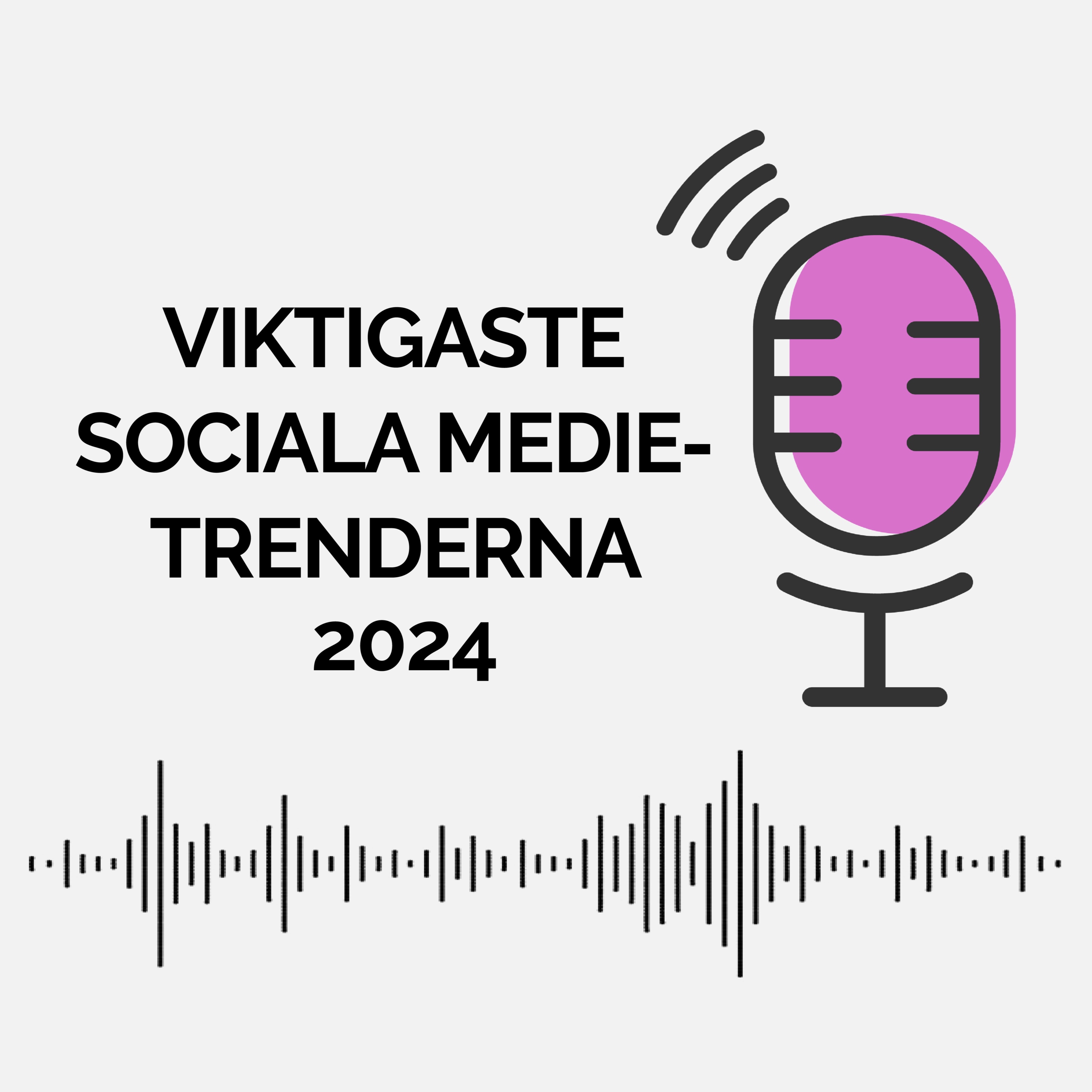 Digitalsnack - Sociala medier