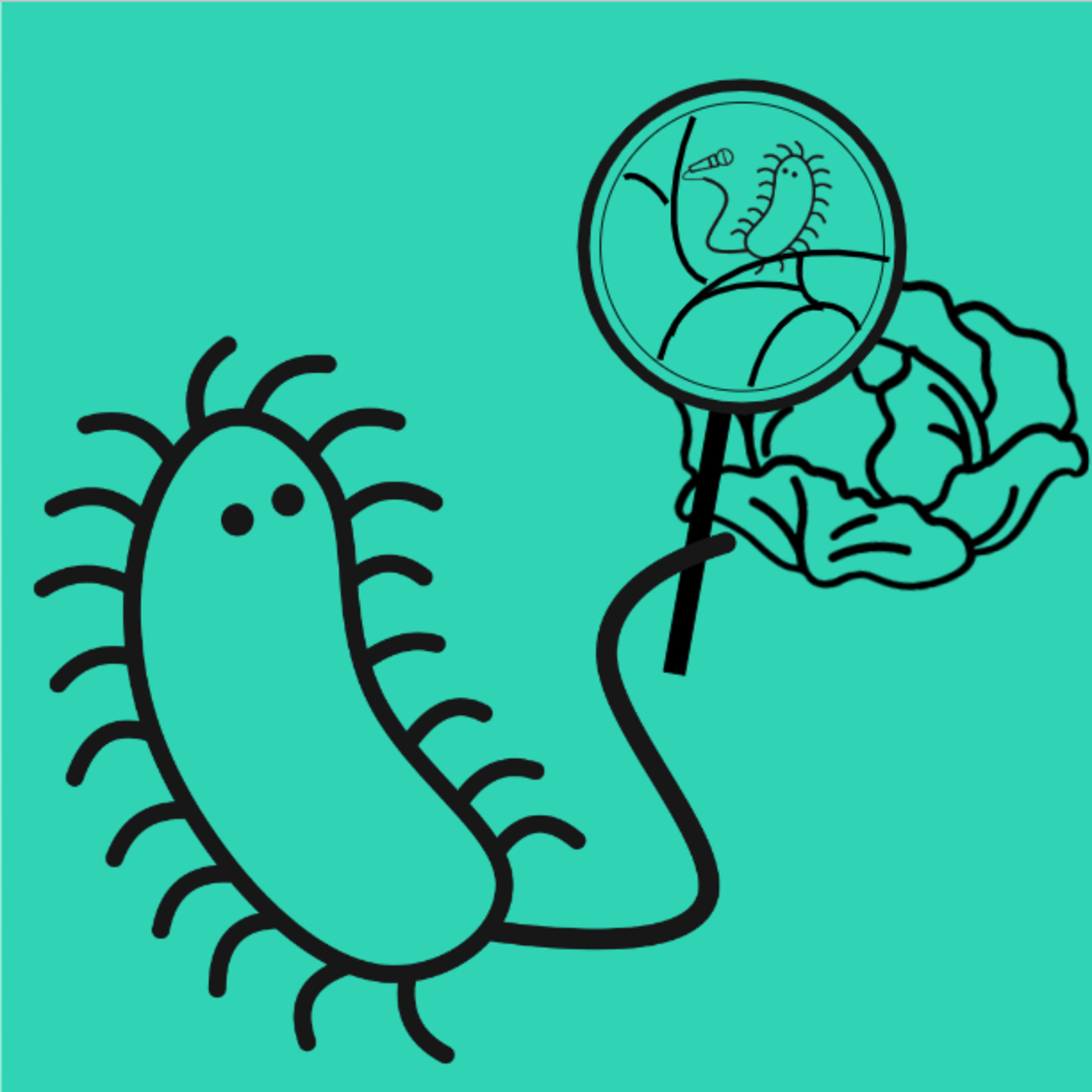 De Microcast