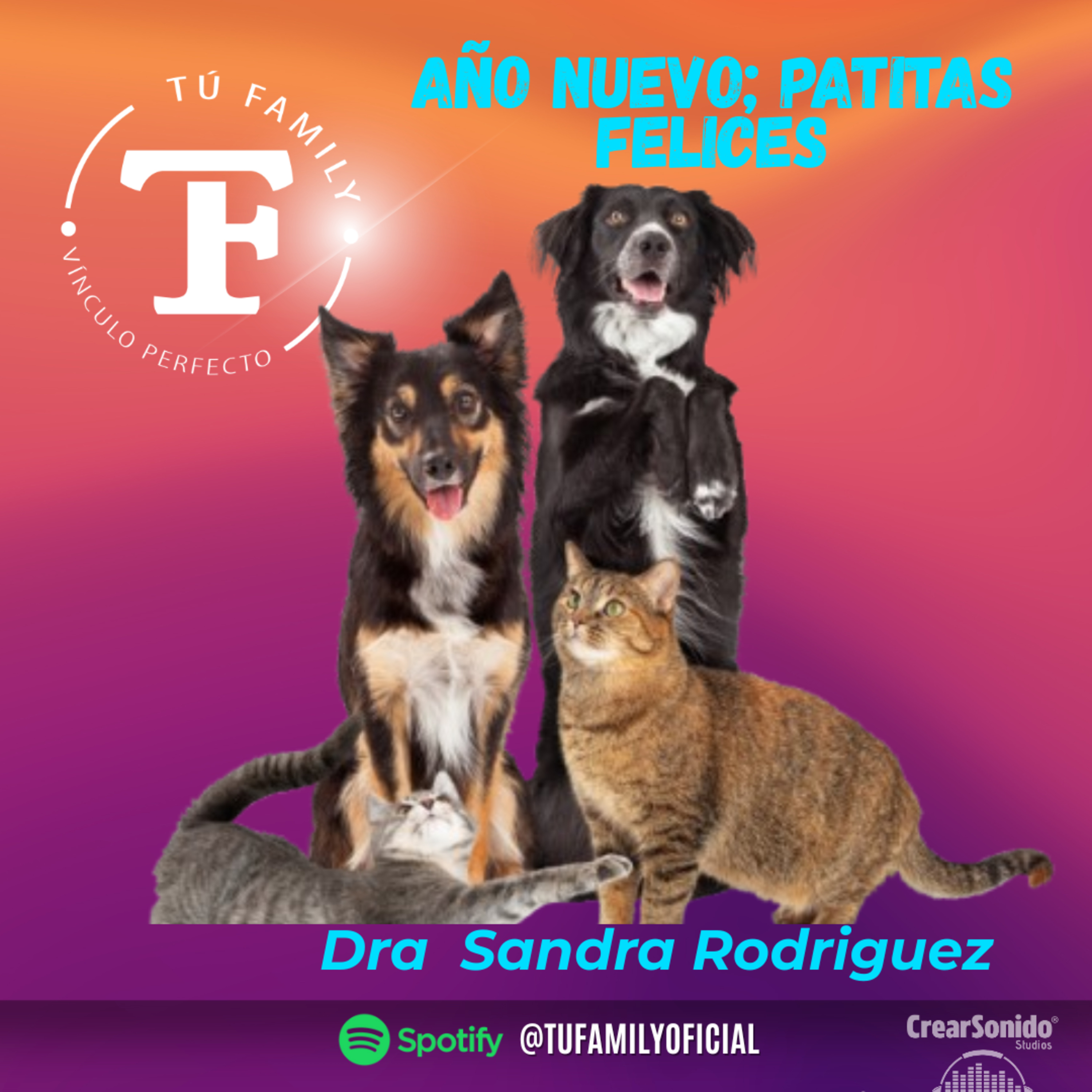 Año Nuevo patitas Felicez episode artwork