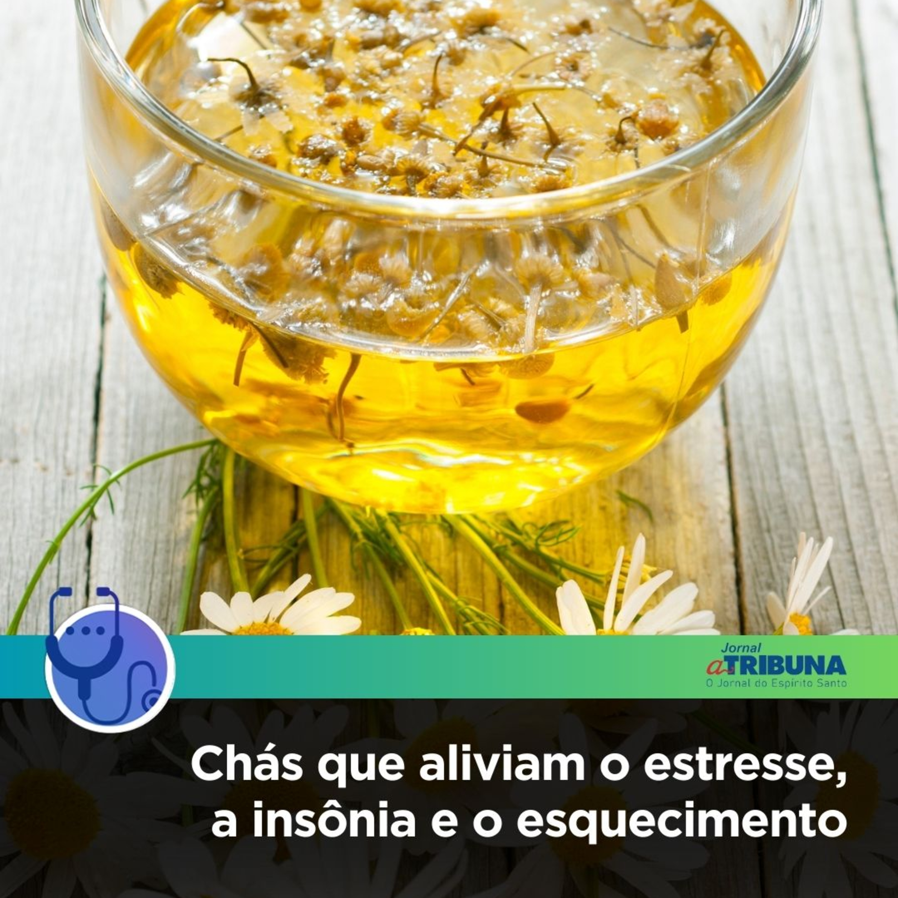 Chás que aliviam estresse, insônia e esquecimento | Fala, Doutora! episode artwork