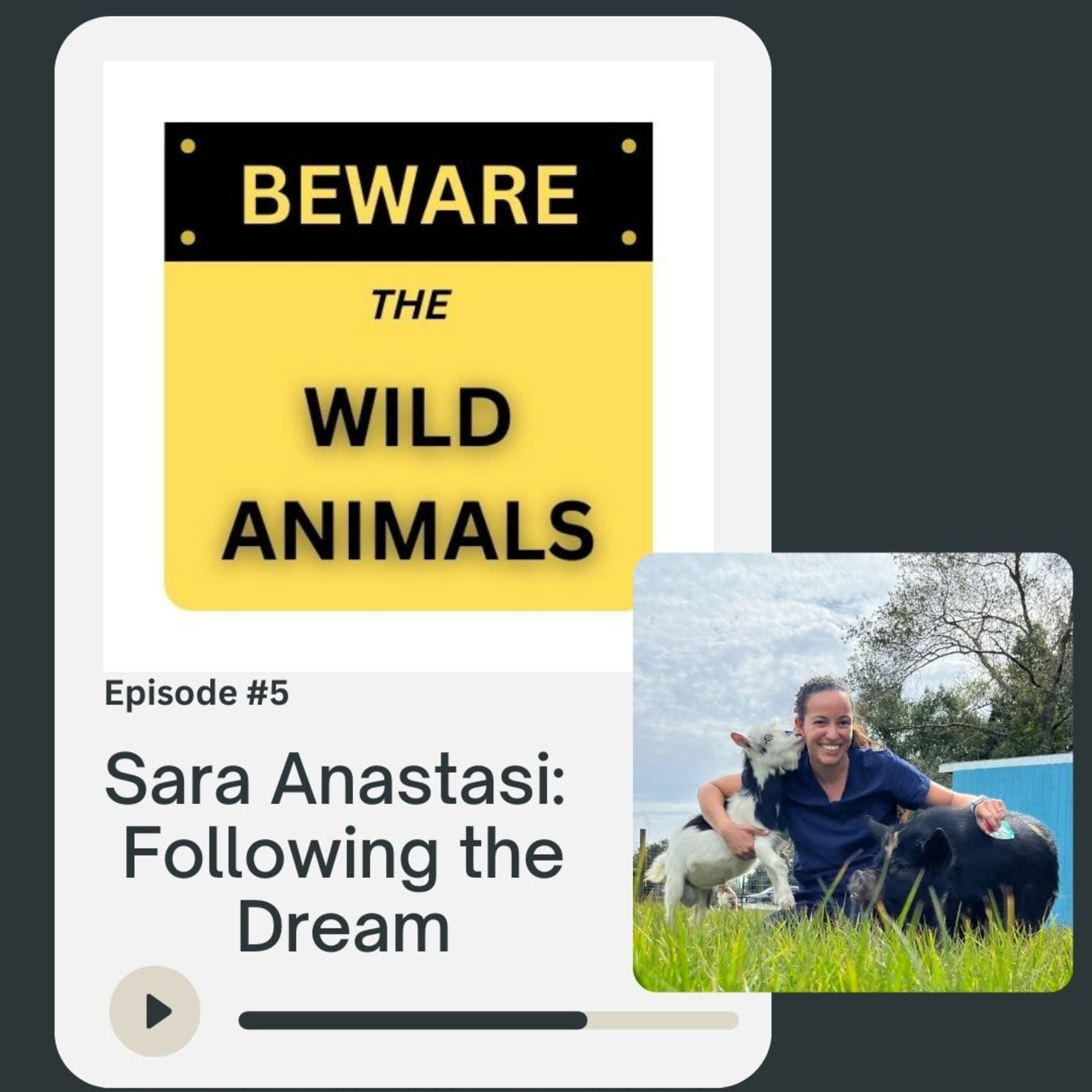 Beware The Wild Animals