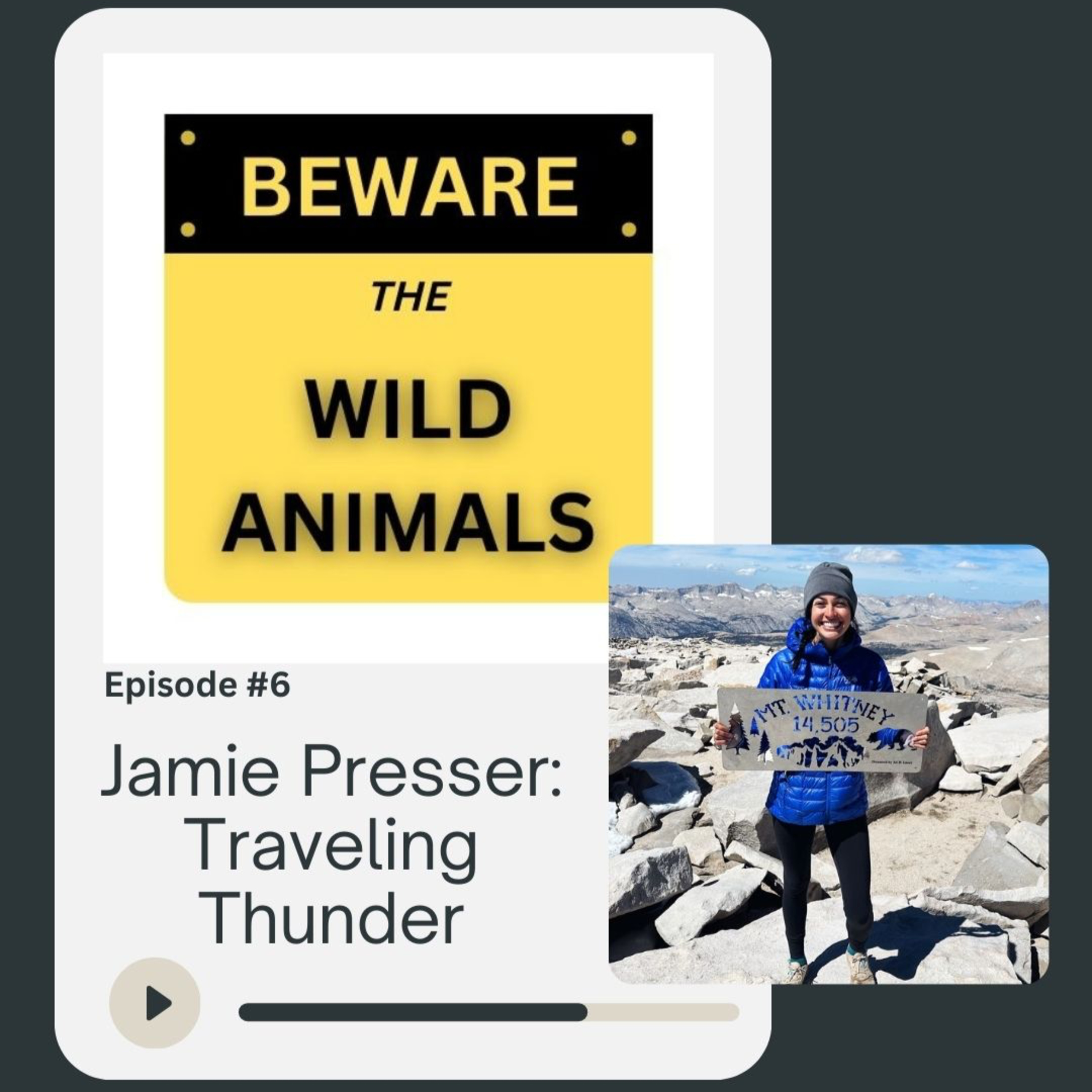 Beware The Wild Animals