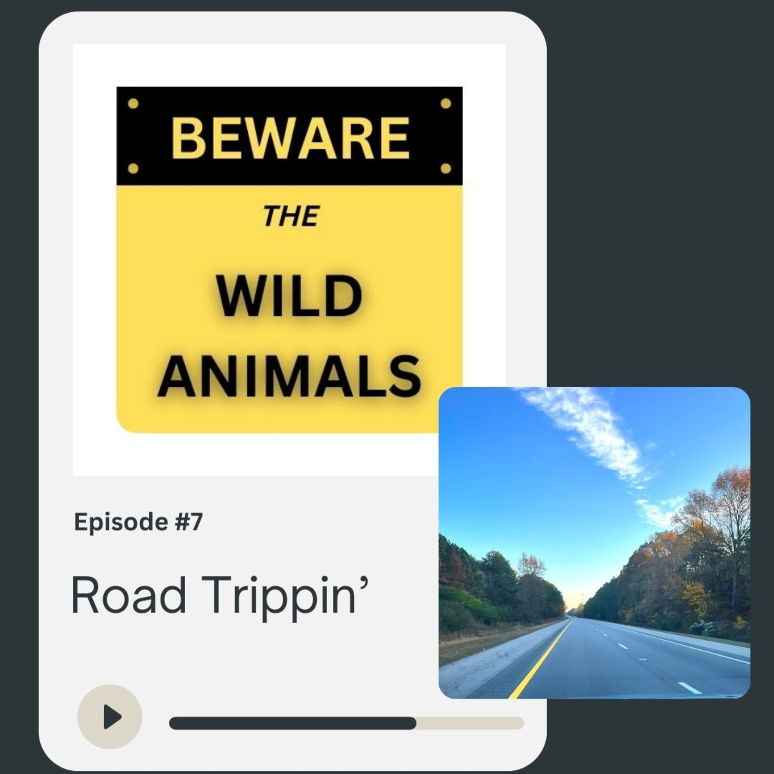 Beware The Wild Animals