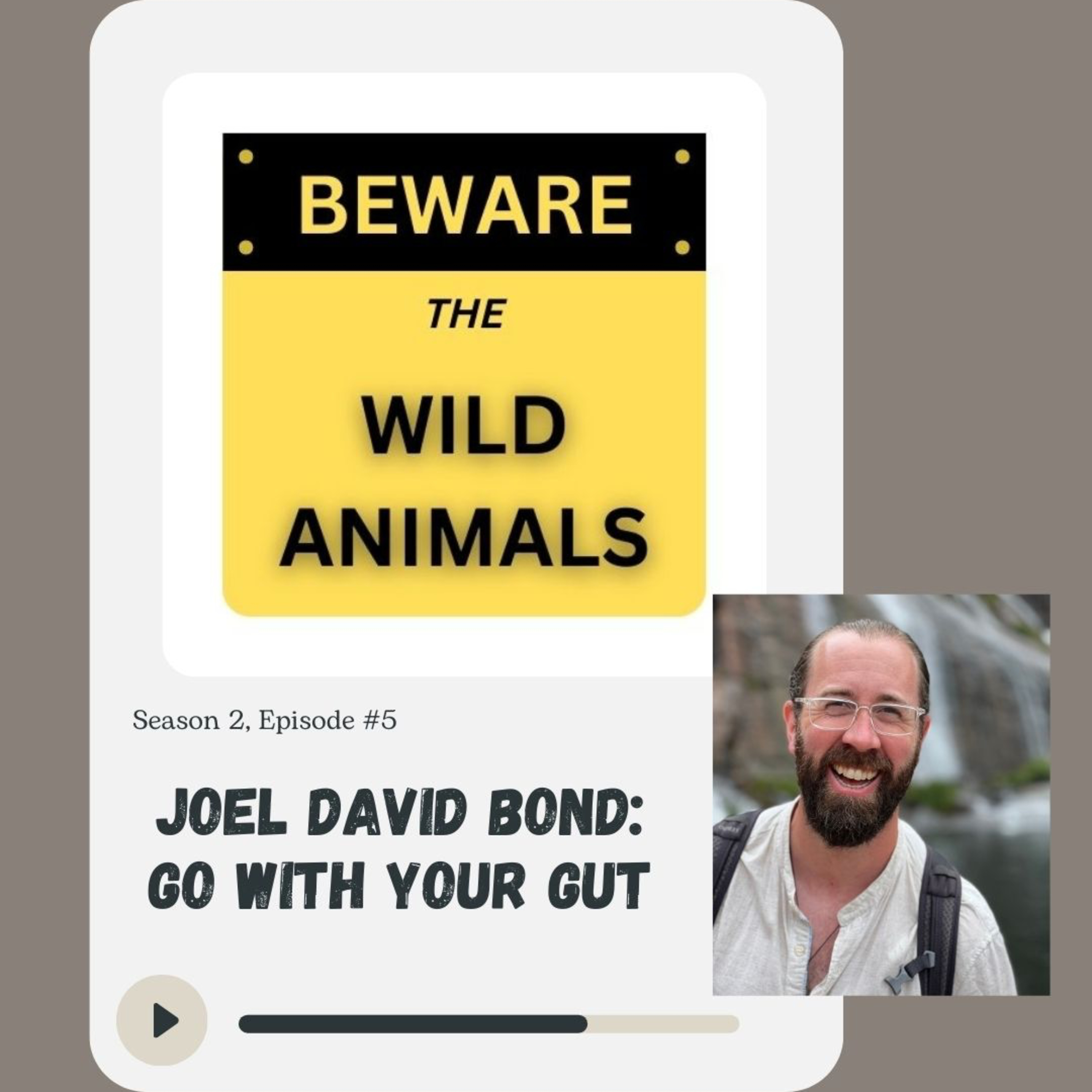 Beware The Wild Animals
