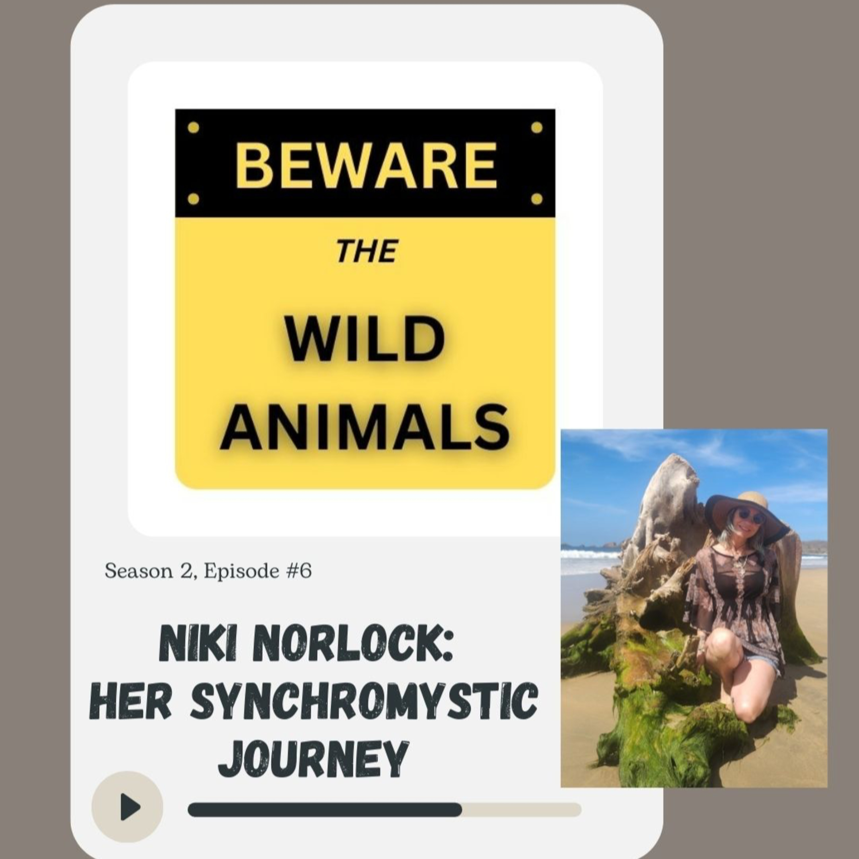 Beware The Wild Animals