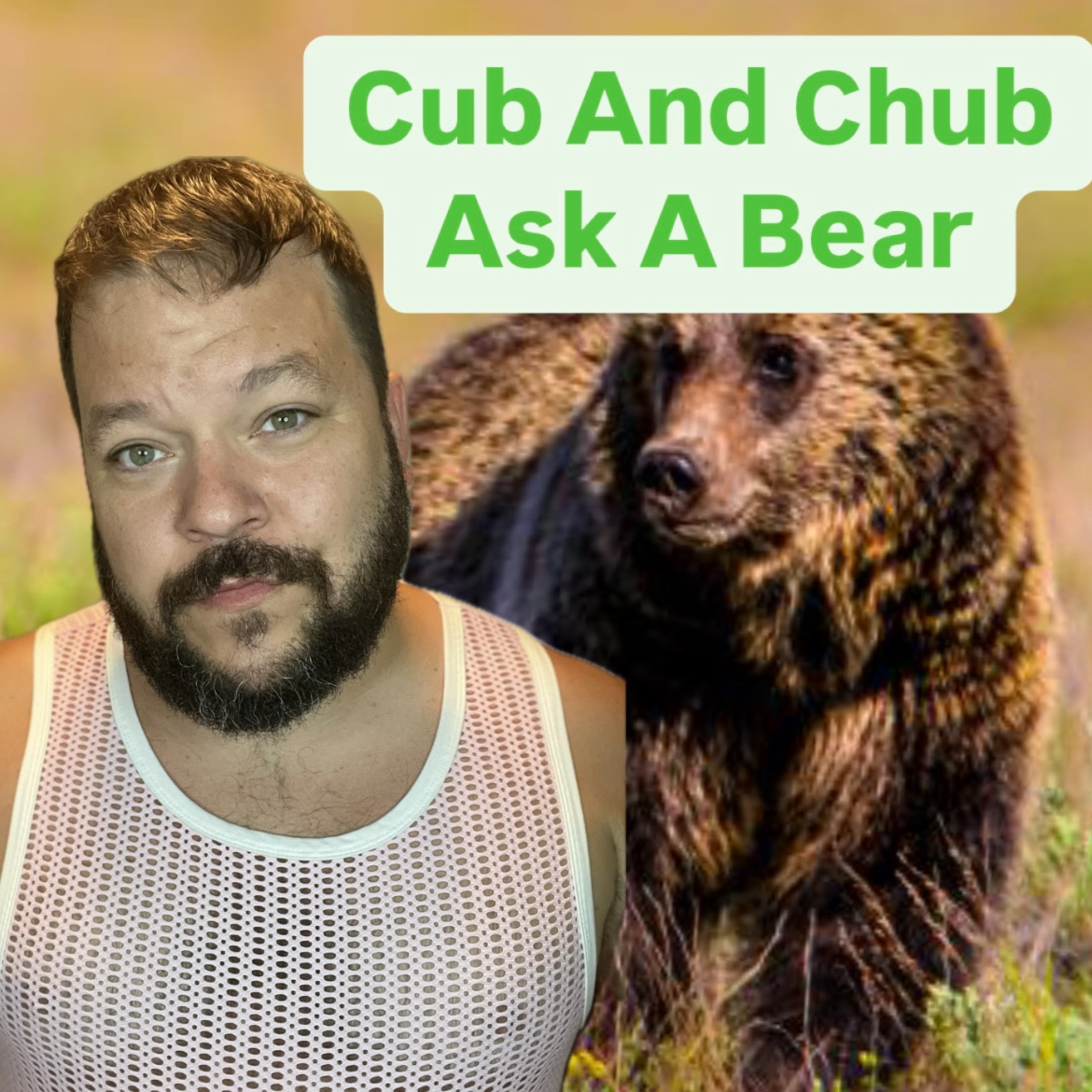 Ask A Bear! episode artwork