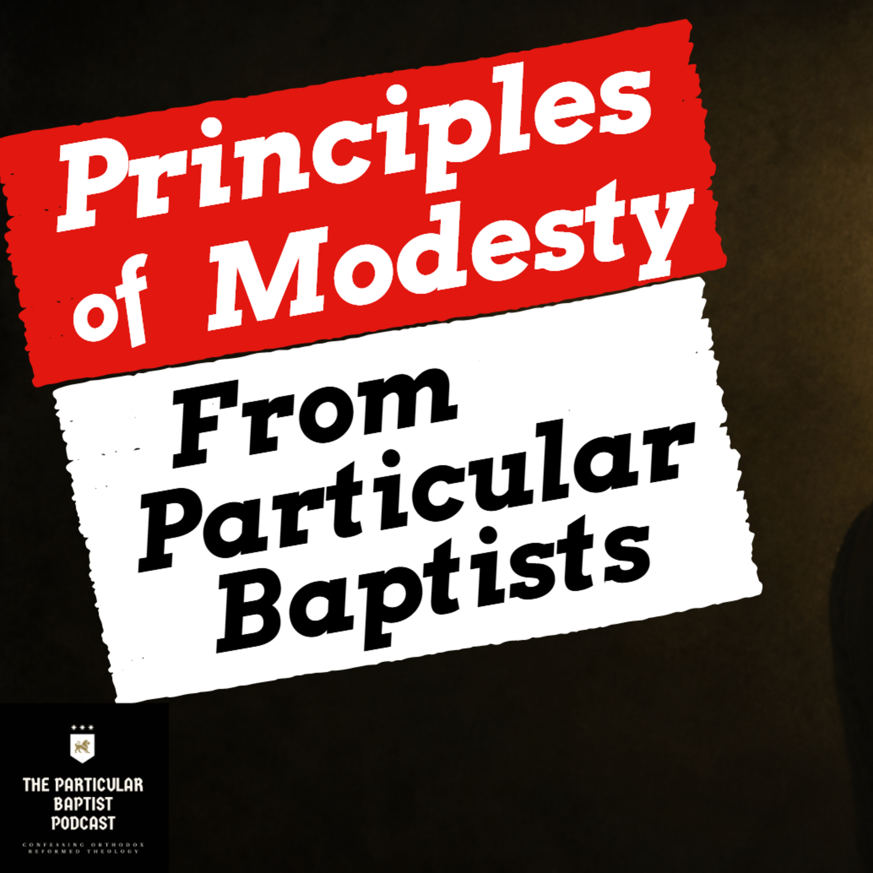 Principles of Modesty episode artwork