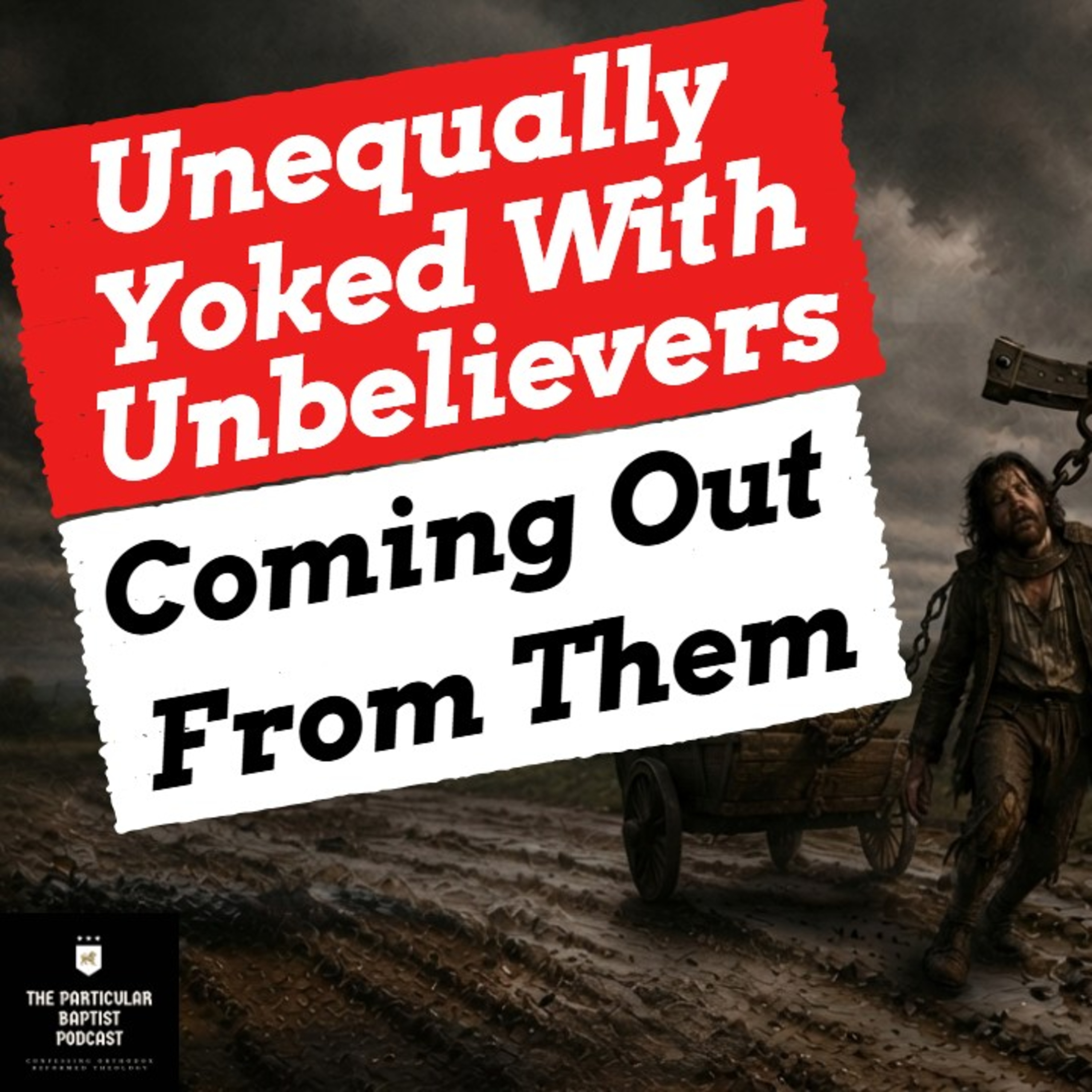 What Does It Mean to Be Unequally Yoked? episode artwork