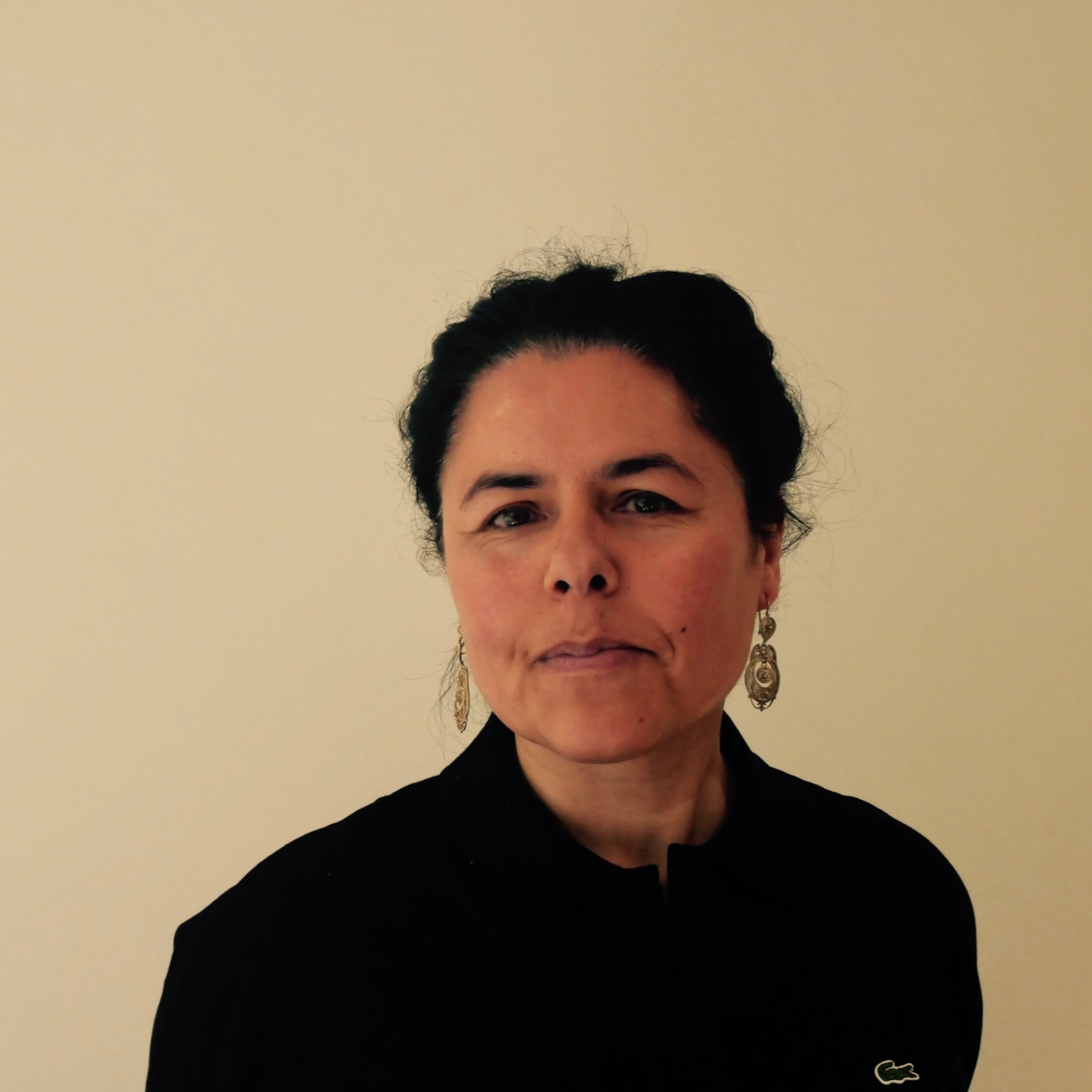 O Poema Ensina a Cair