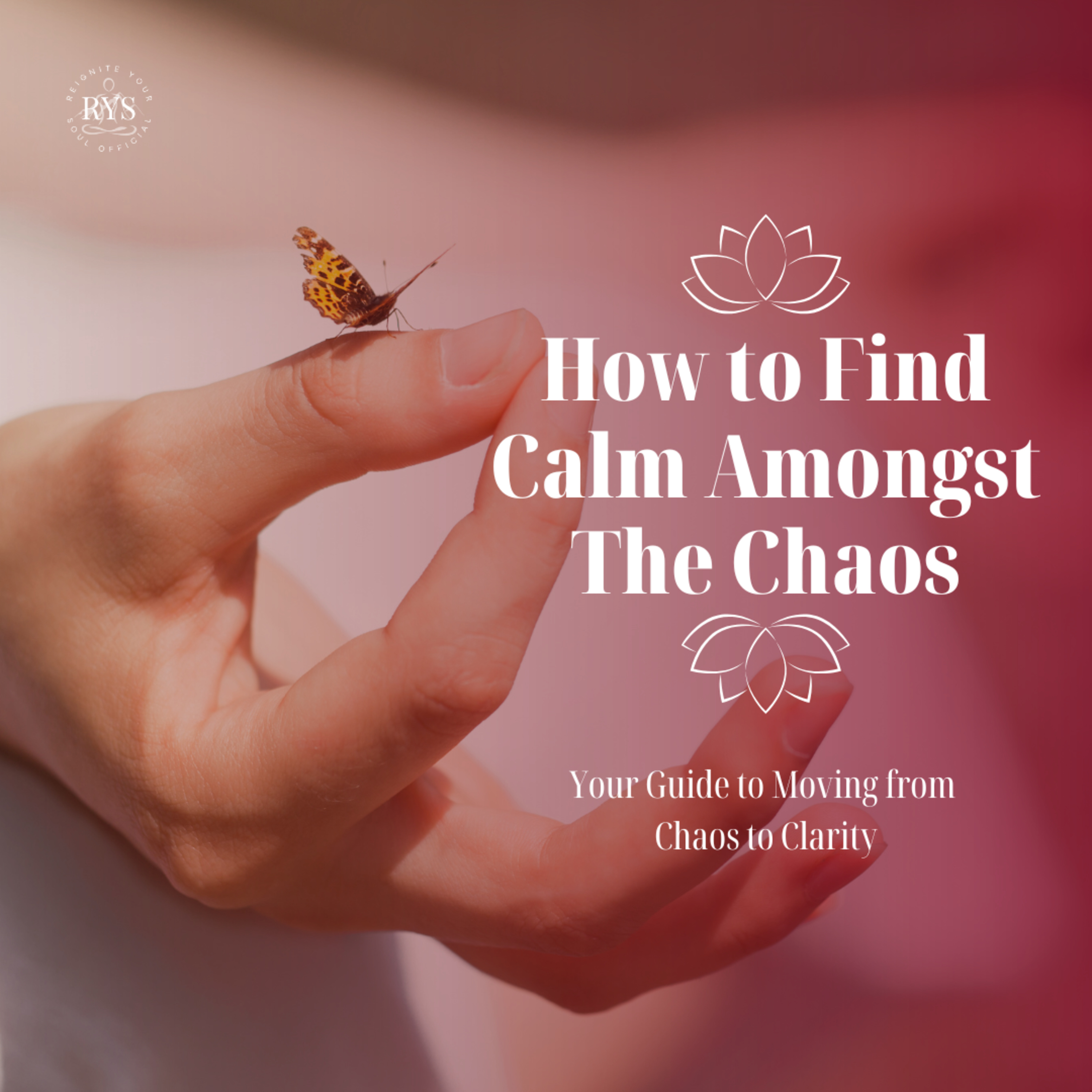 How to Find Calm Amongst the Chaos: Your Guide to Moving from Chaos to Clarity | Audio Blog episode artwork