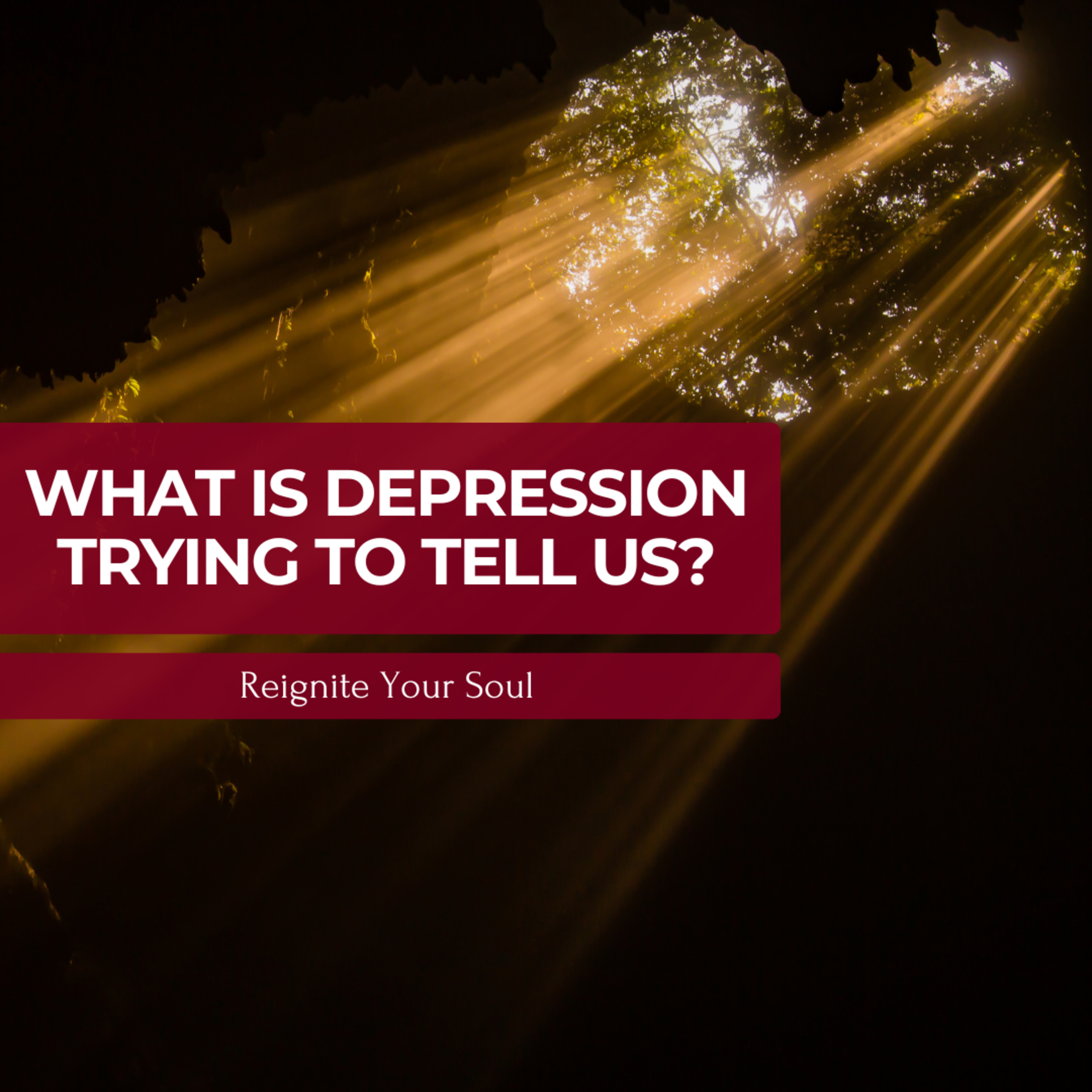 What is Depression Trying to Tell Us? with Laura Plahuta episode artwork
