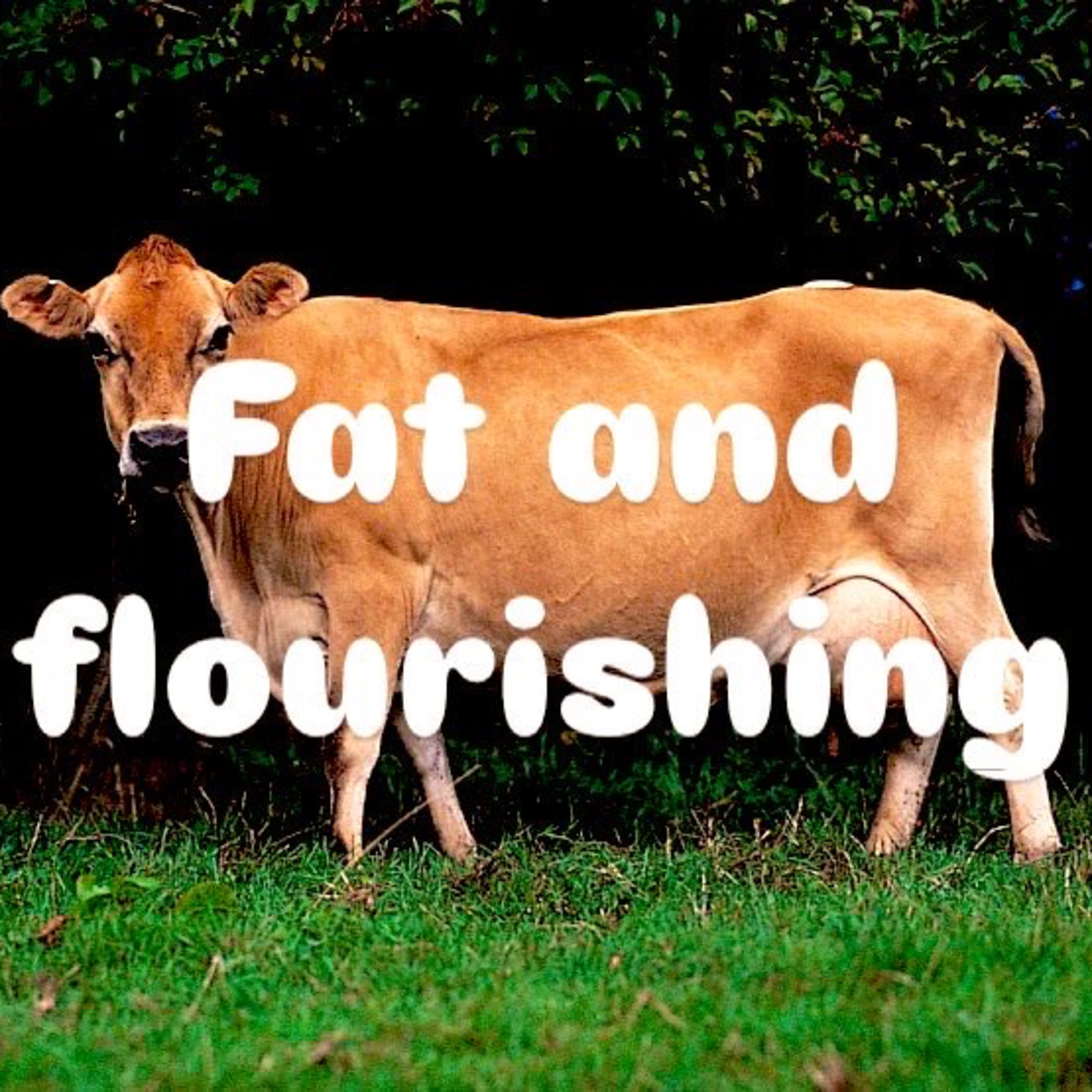 FAT AND FLOURISHING