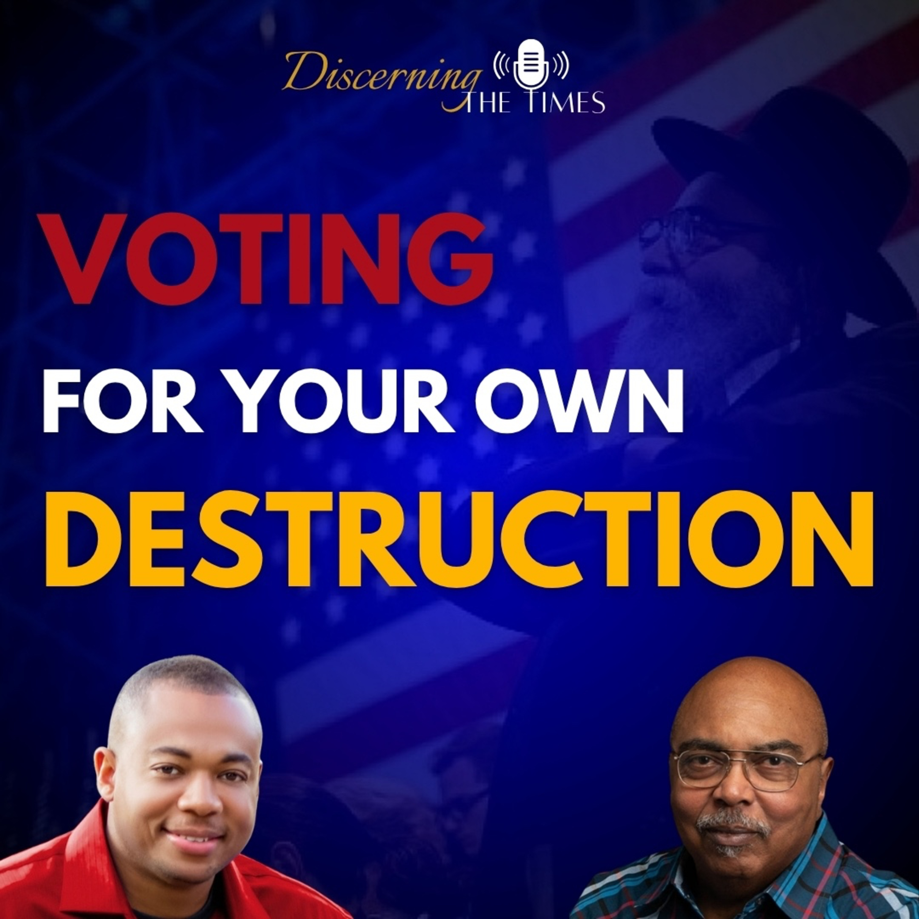 Voting For Your Own Destruction episode artwork