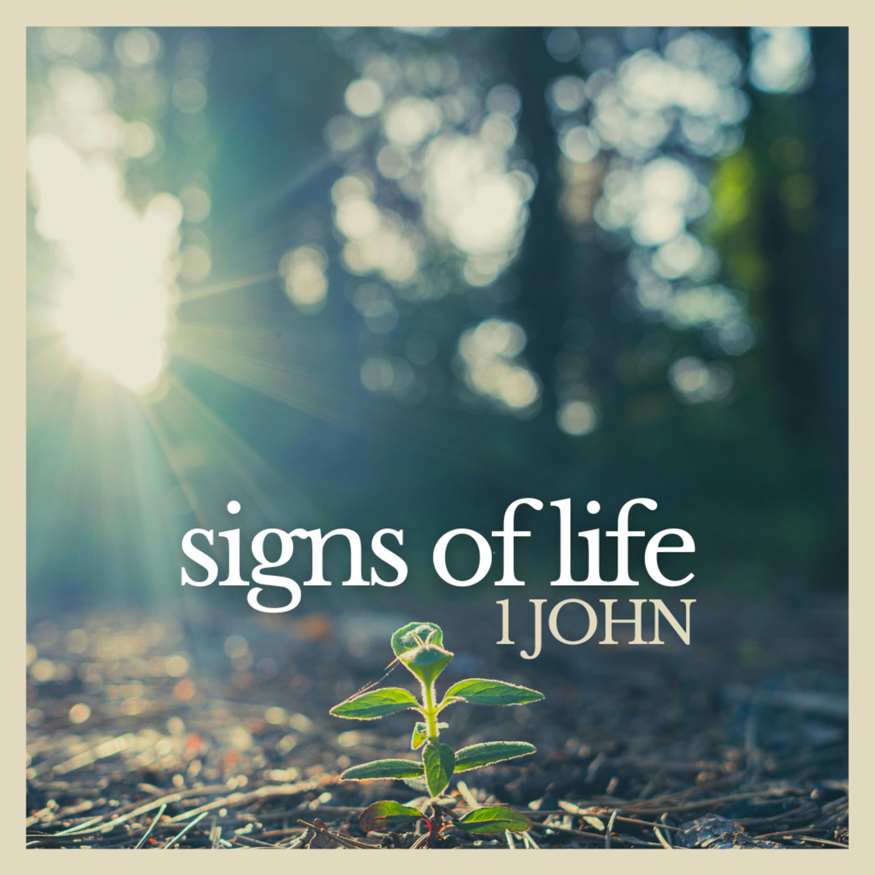 Love One Another | 1 John 3:11-18