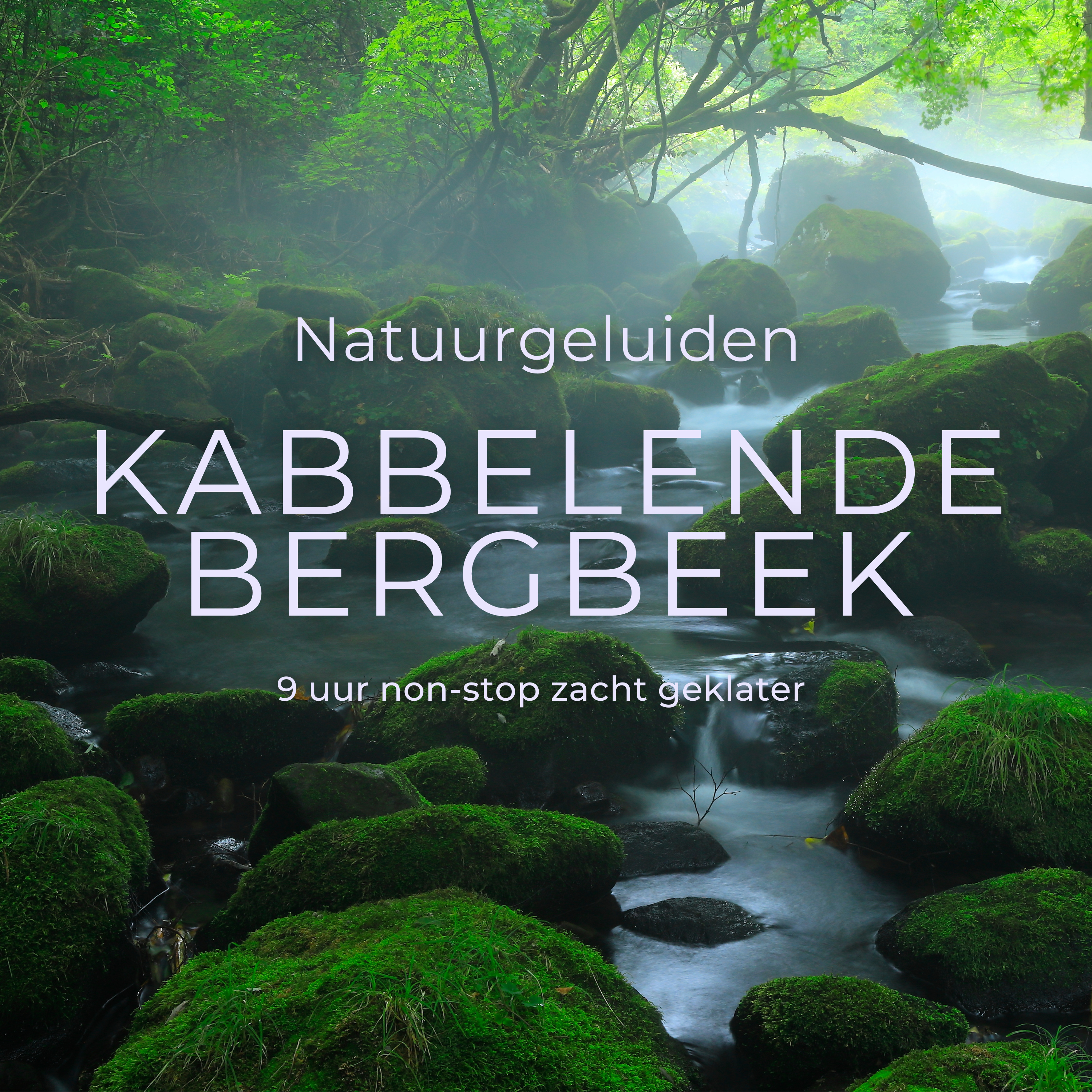 #75 Hele nacht pure ontspanning en diepe slaap, 9 uur natuurgeluiden, kabbelend beekje in de bergen, kalmerend voor je zenuwstelsel