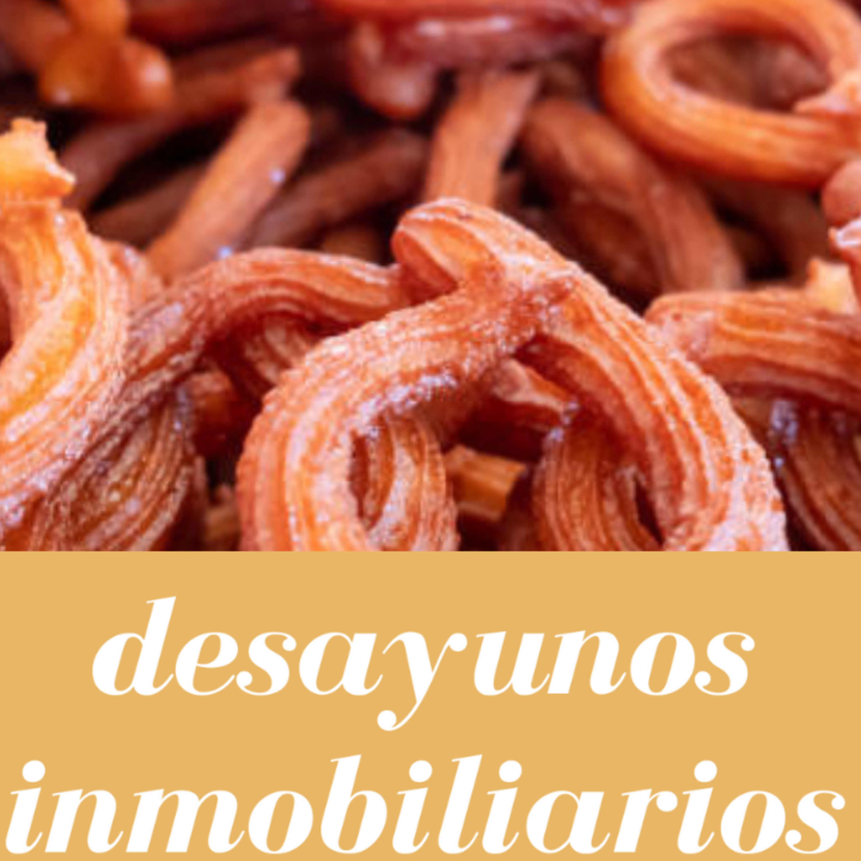 Portada de ABOGADO DE INMOBILIARIO - JOSE MARIA LUQUE ORTIZ