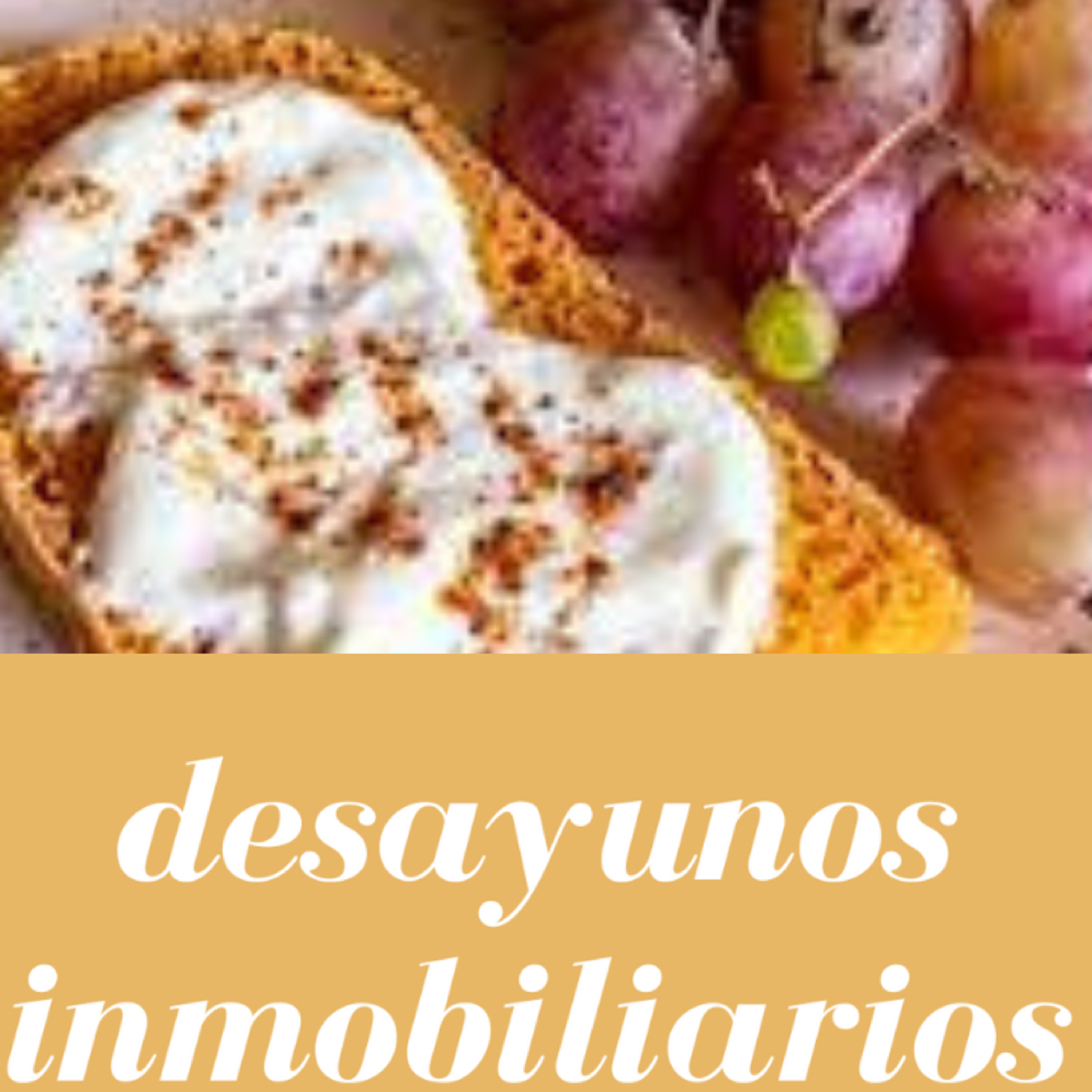 Portada de ABOGADO DE INMOBILIARIO - JOSE MARIA LUQUE ORTIZ