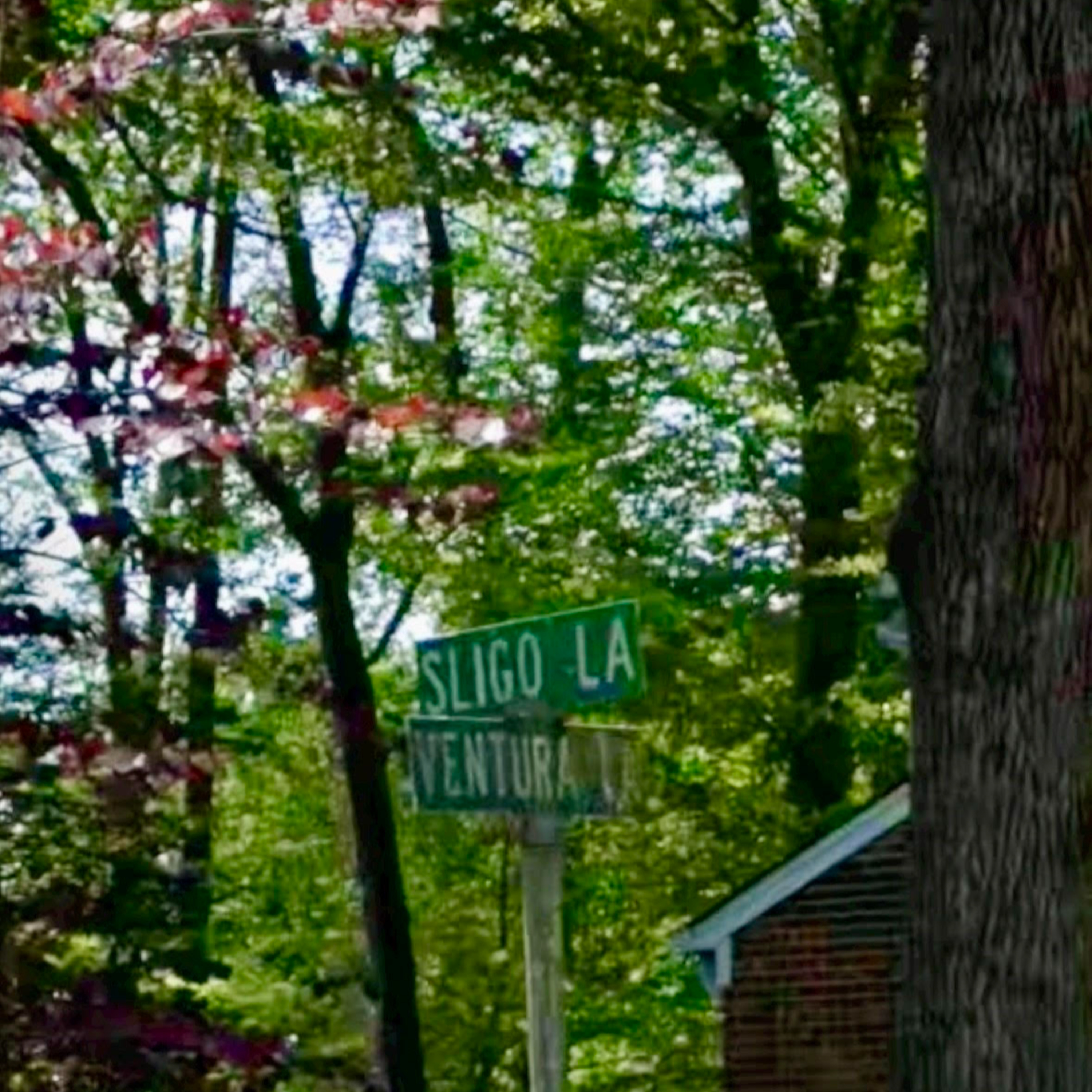 Sligo Lane Fruit episode artwork