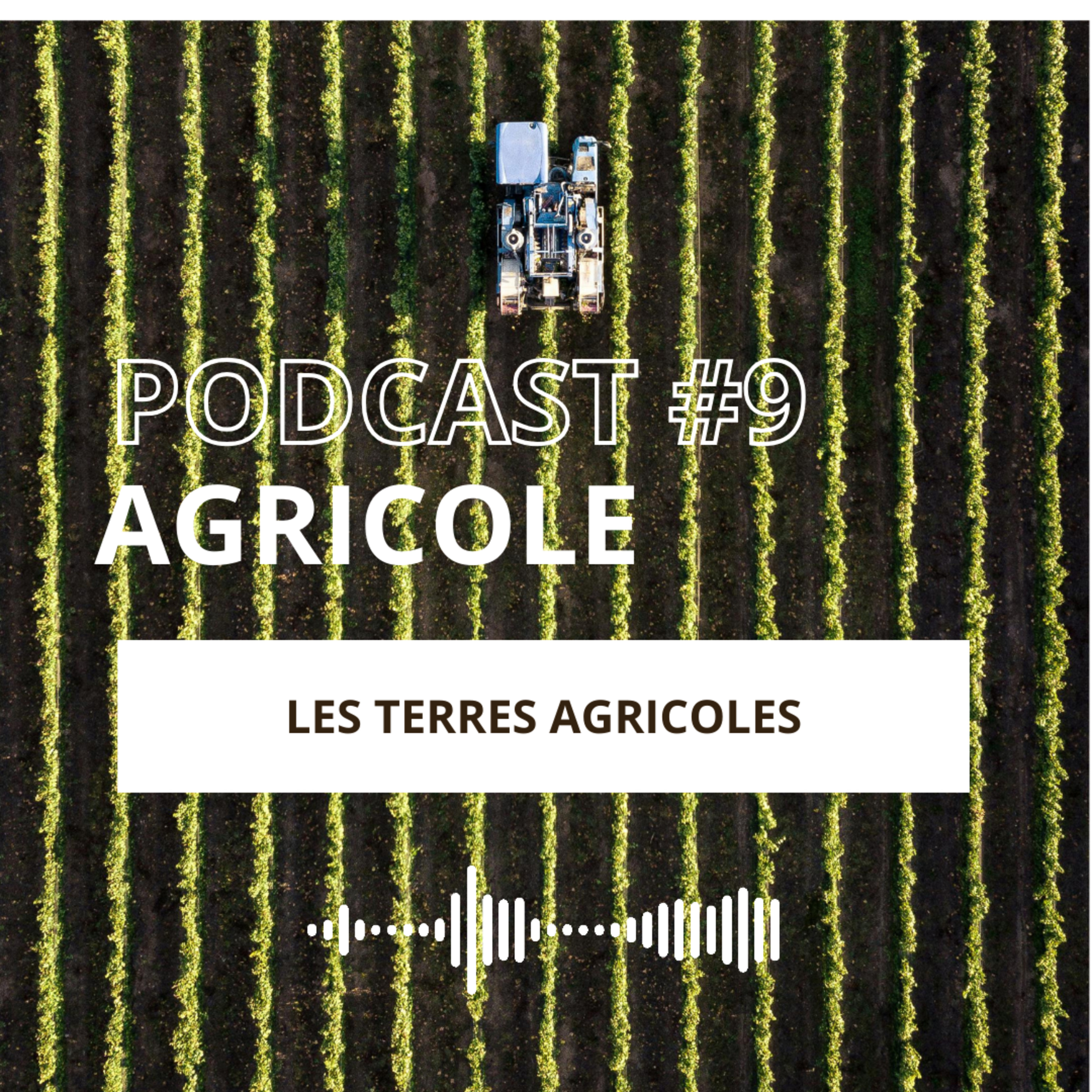 EPISODE #9 - Les Terres Agricoles