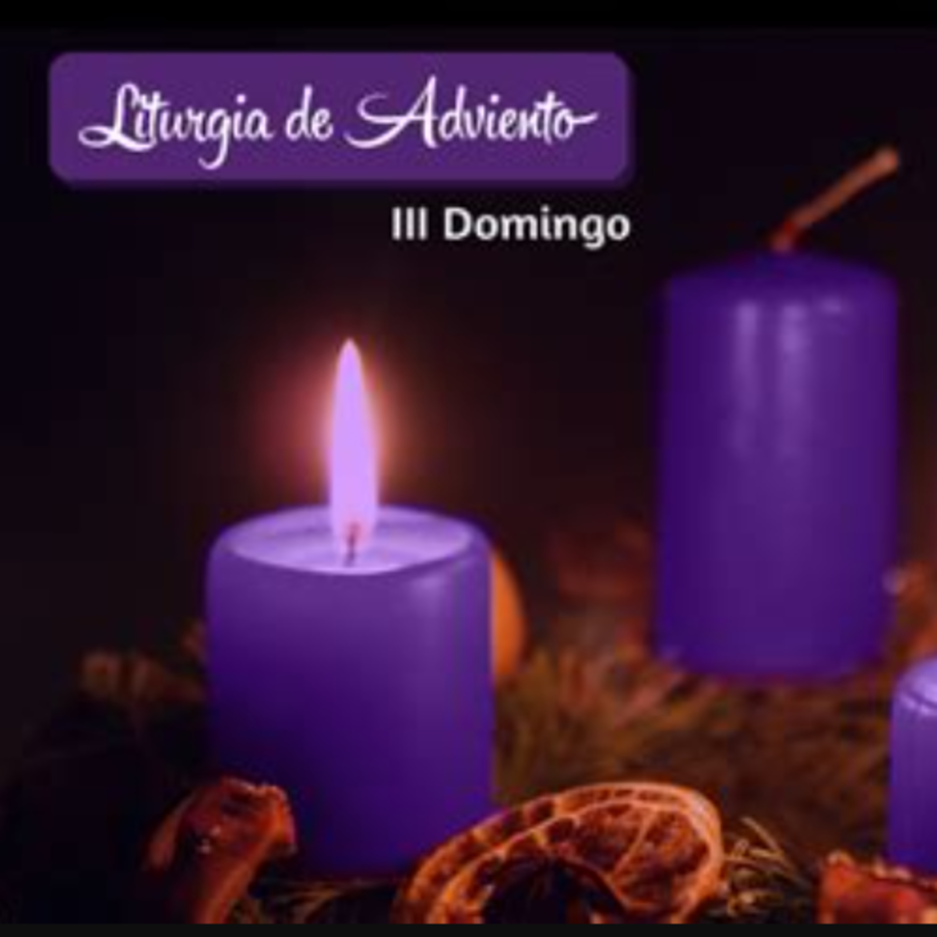 Evangelio del 20 de diciembre episode artwork