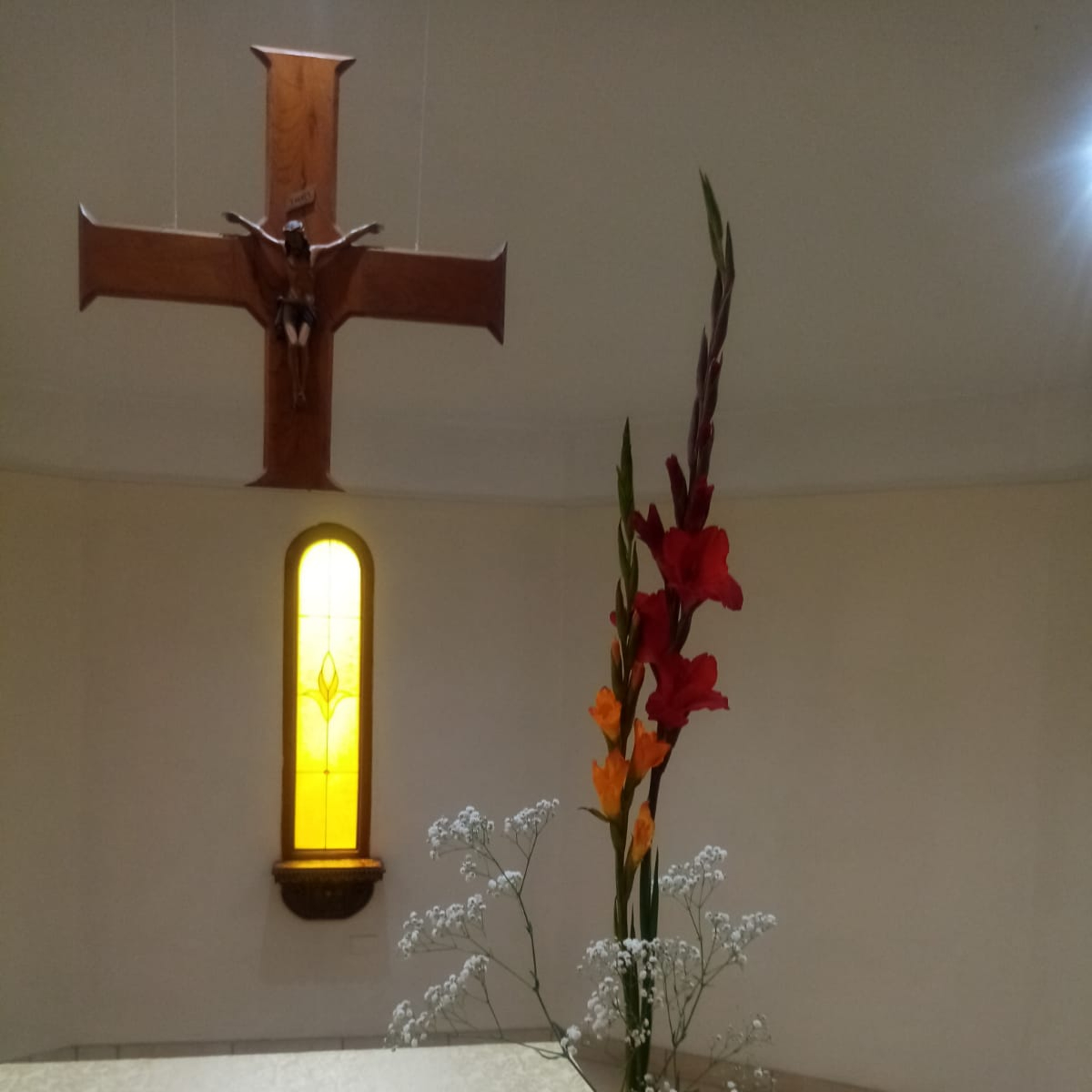 Evangelio del 19 de febrero episode artwork