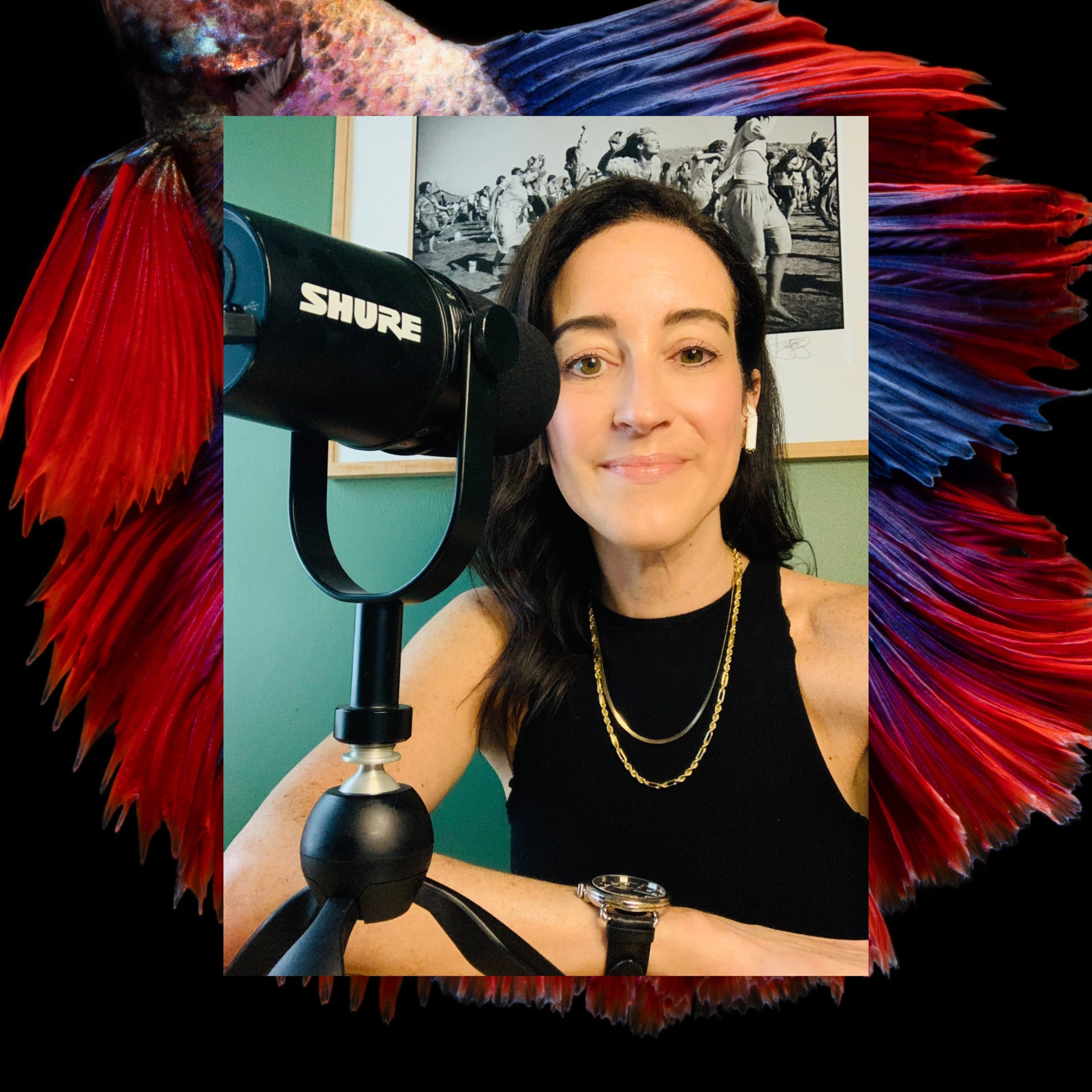 Phish Phry Podcast