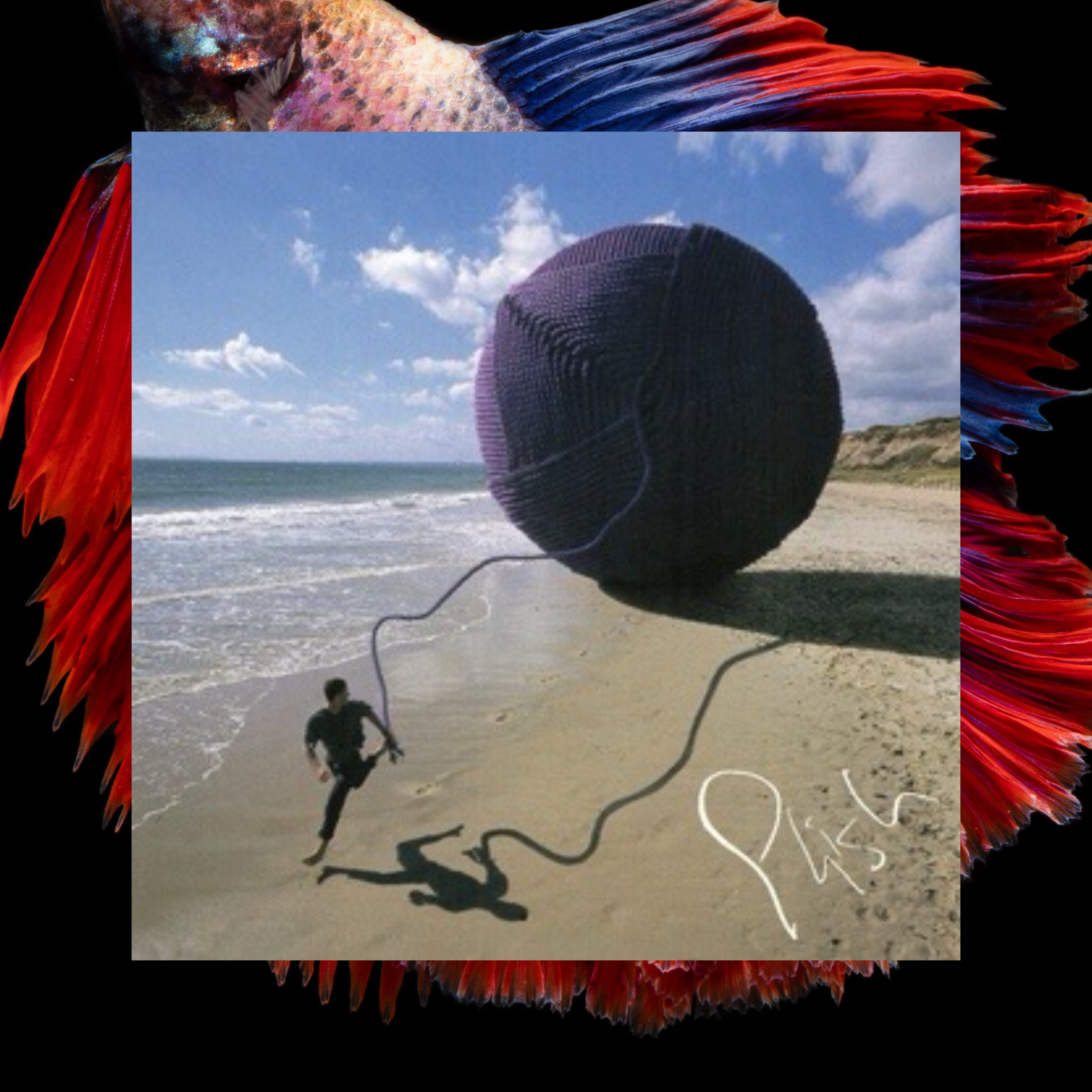 Phish Phry Podcast