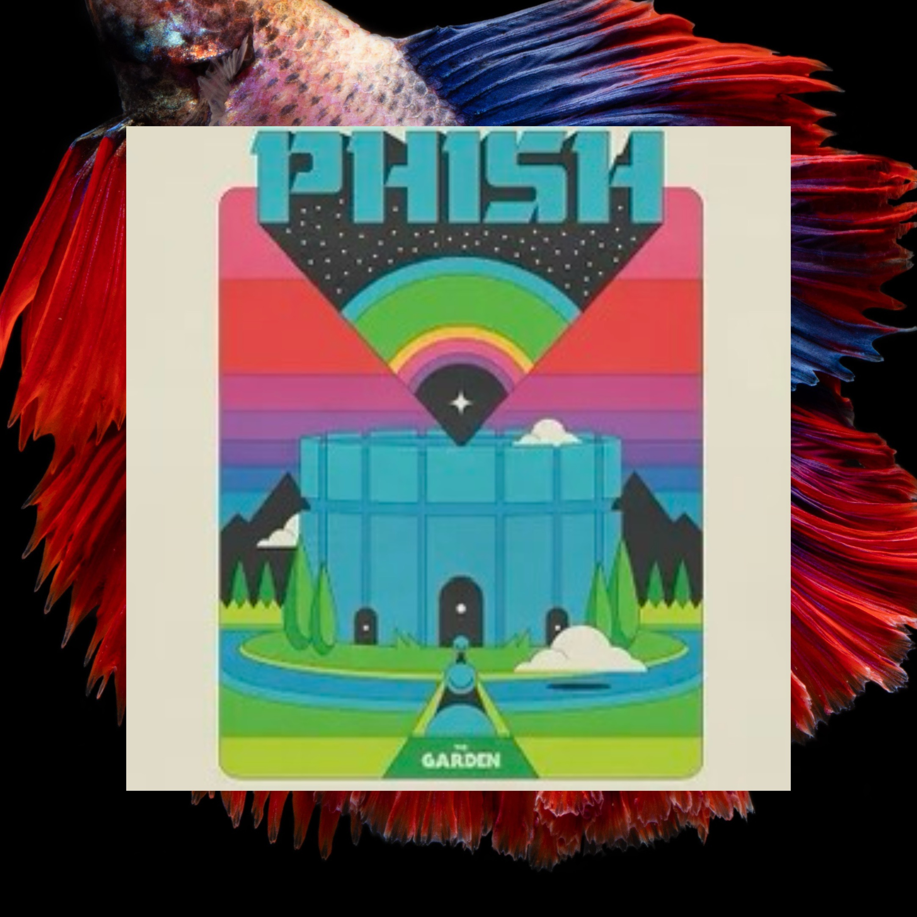 Phish Phry Podcast