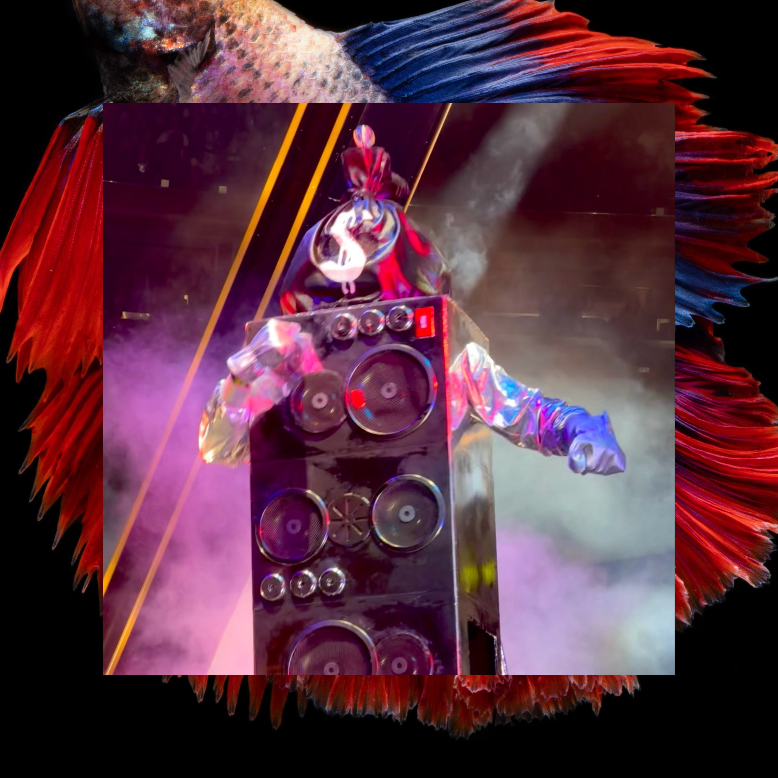 Phish Phry Podcast