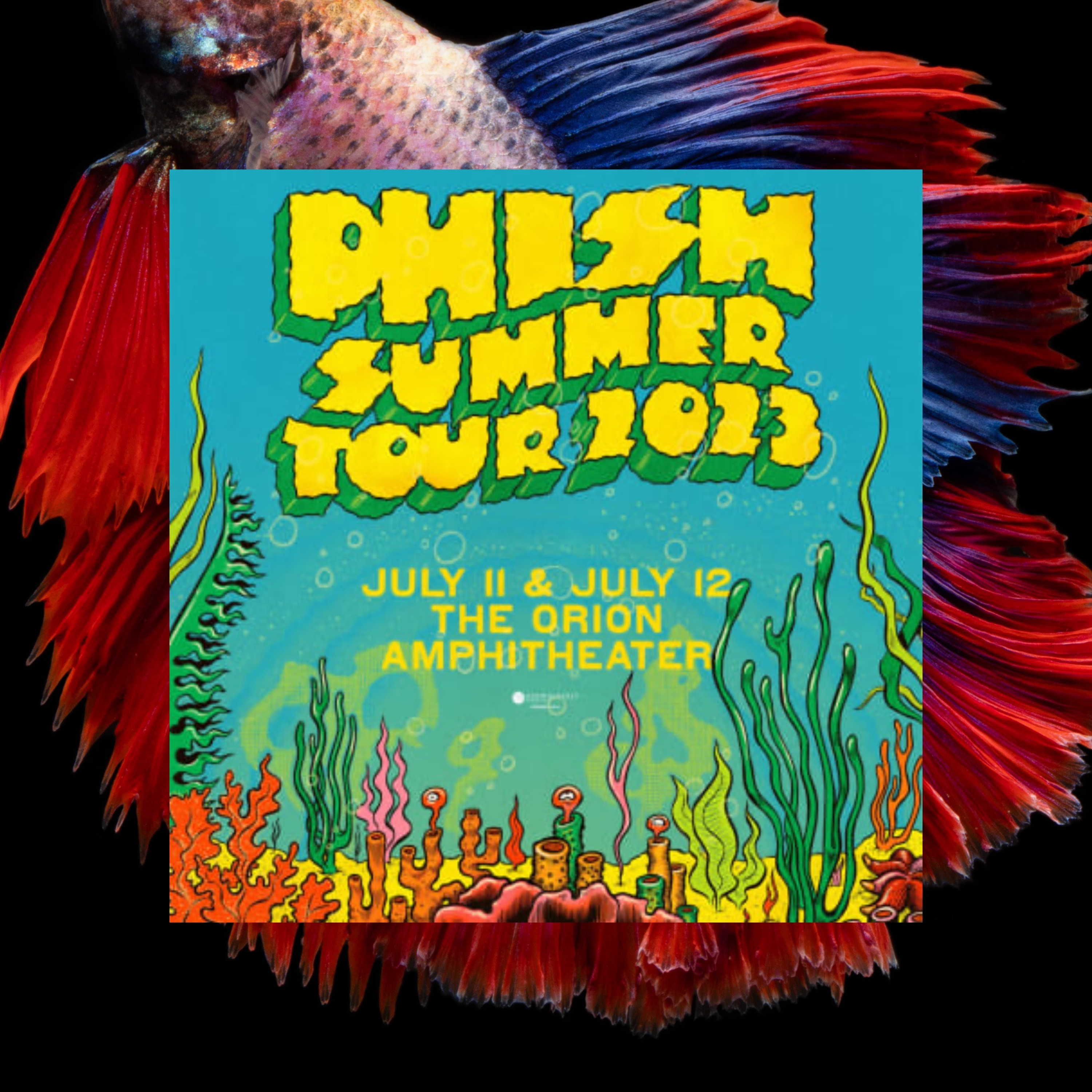 Phish Phry Podcast