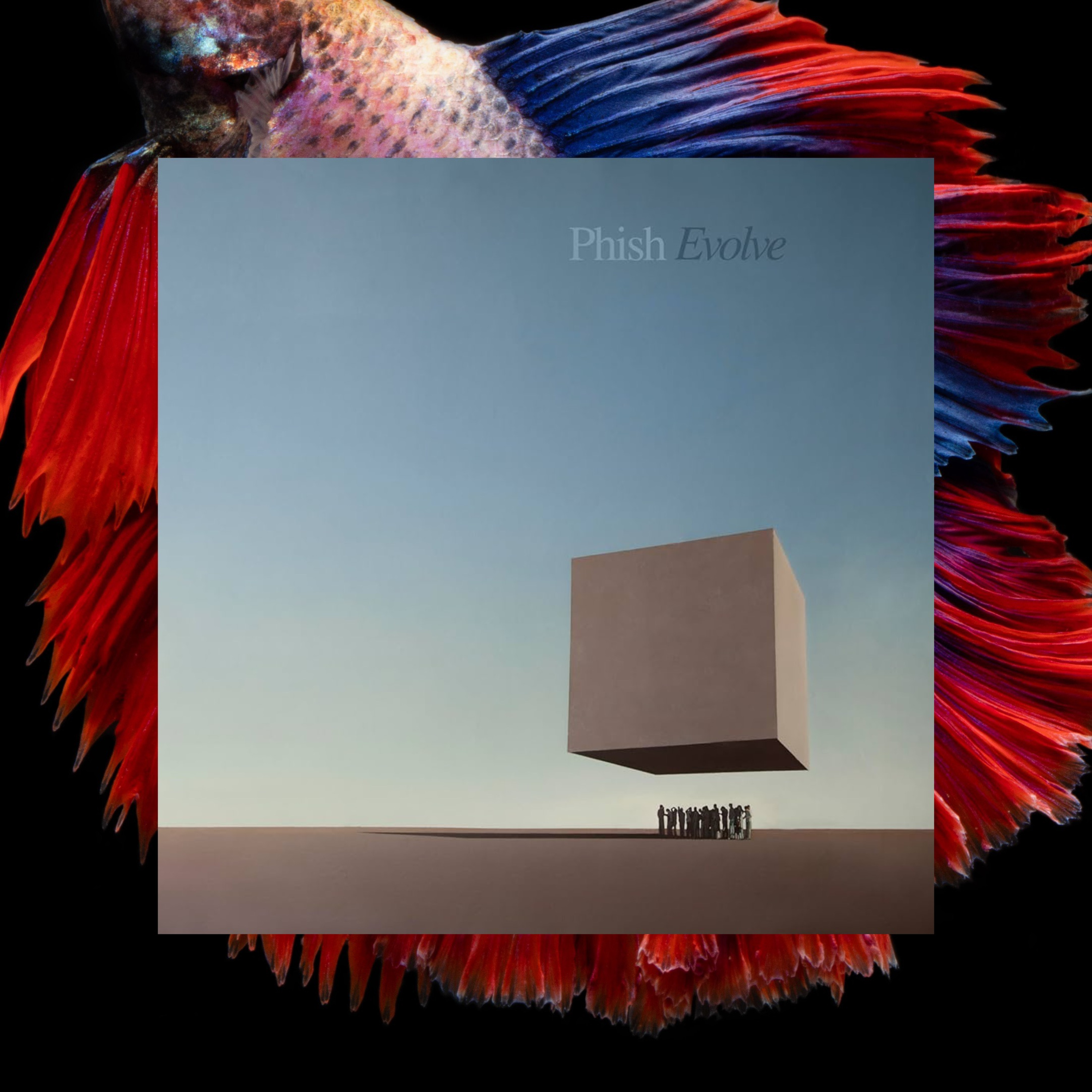 Phish Phry Podcast