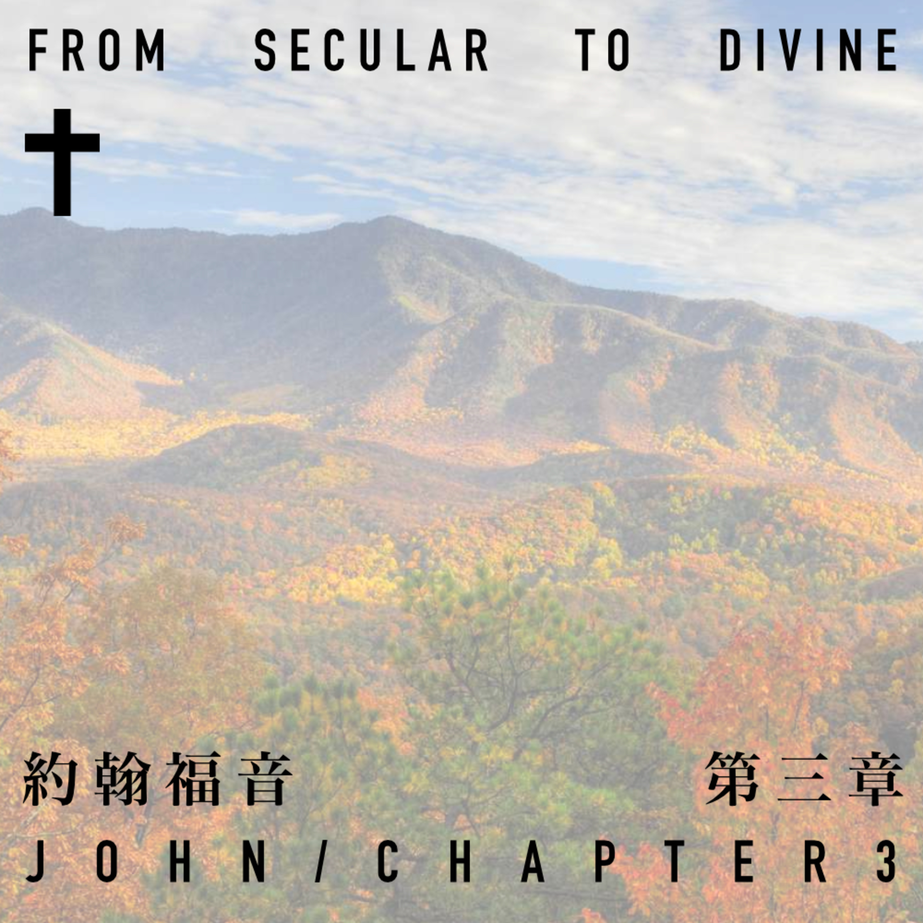 Podcast Cover