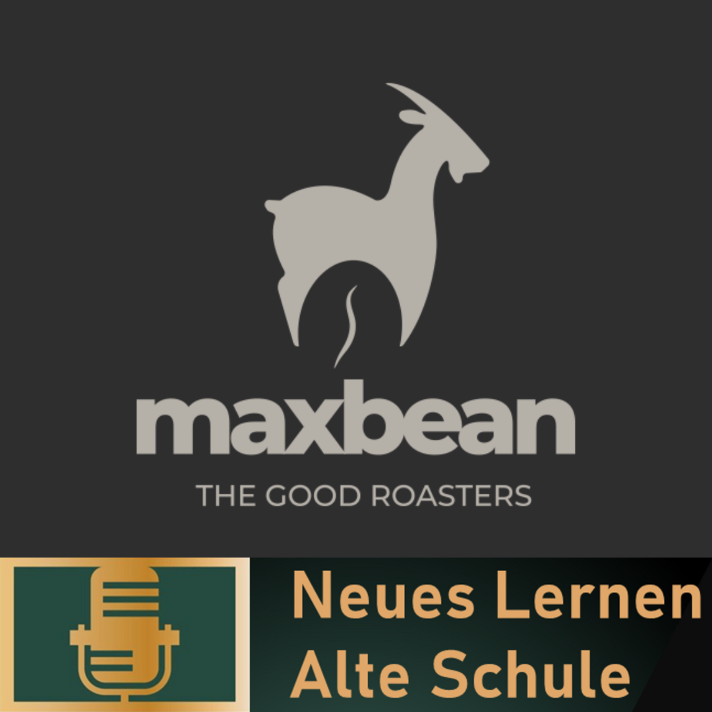 Neues Lernen - Alte Schule. Der Podcast zum Berufseinstieg für (ehemalige) SchülerInnen.