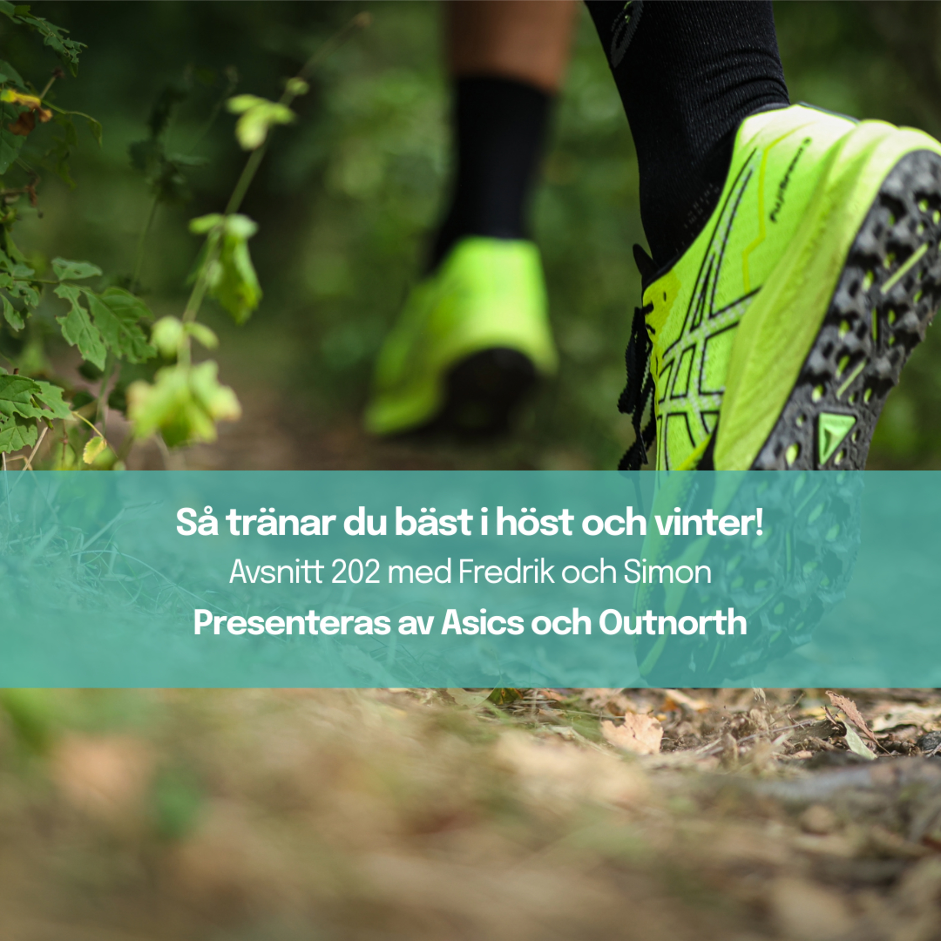 Så tränar du bäst i höst och vinter 2024