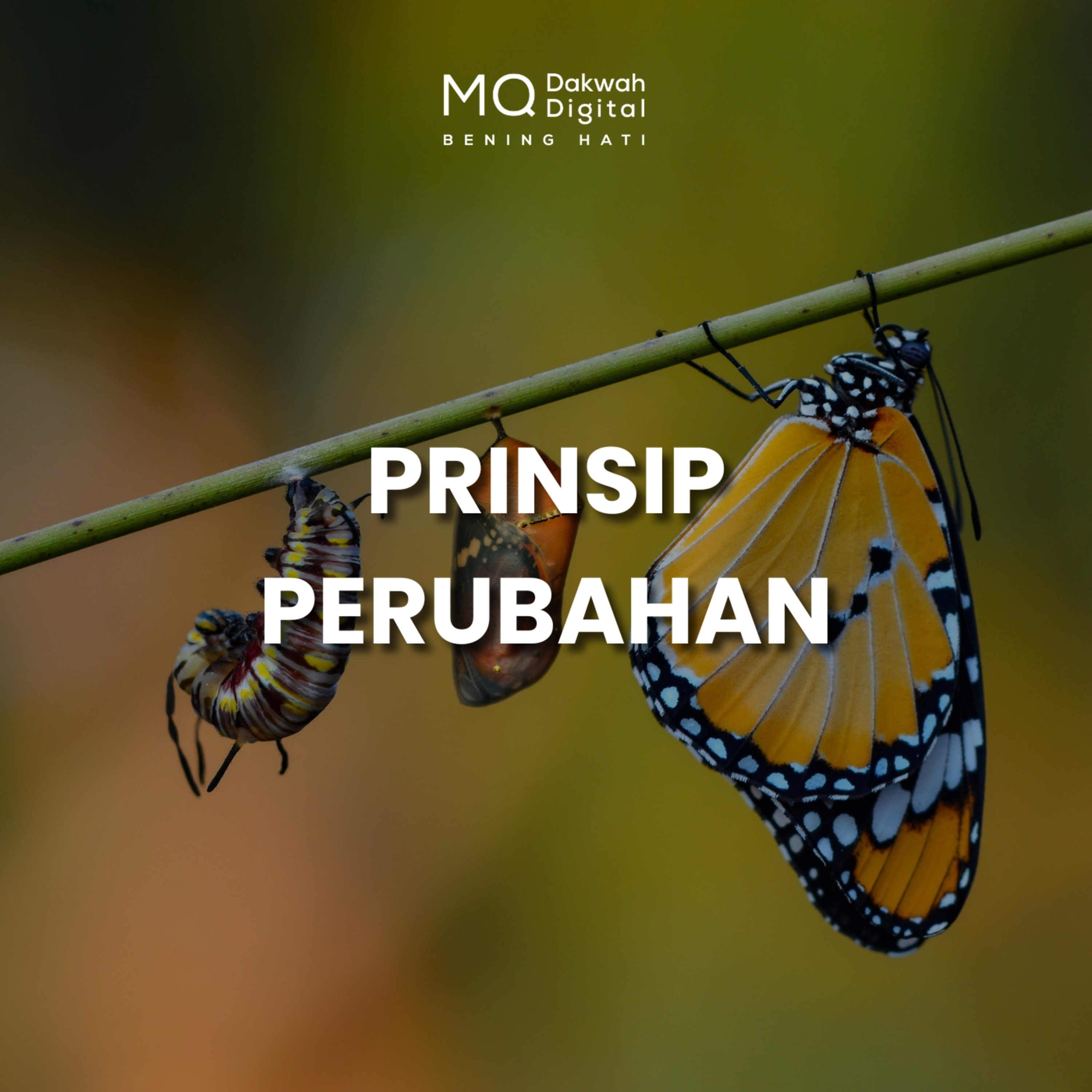 Prinsip Perubahan 3M