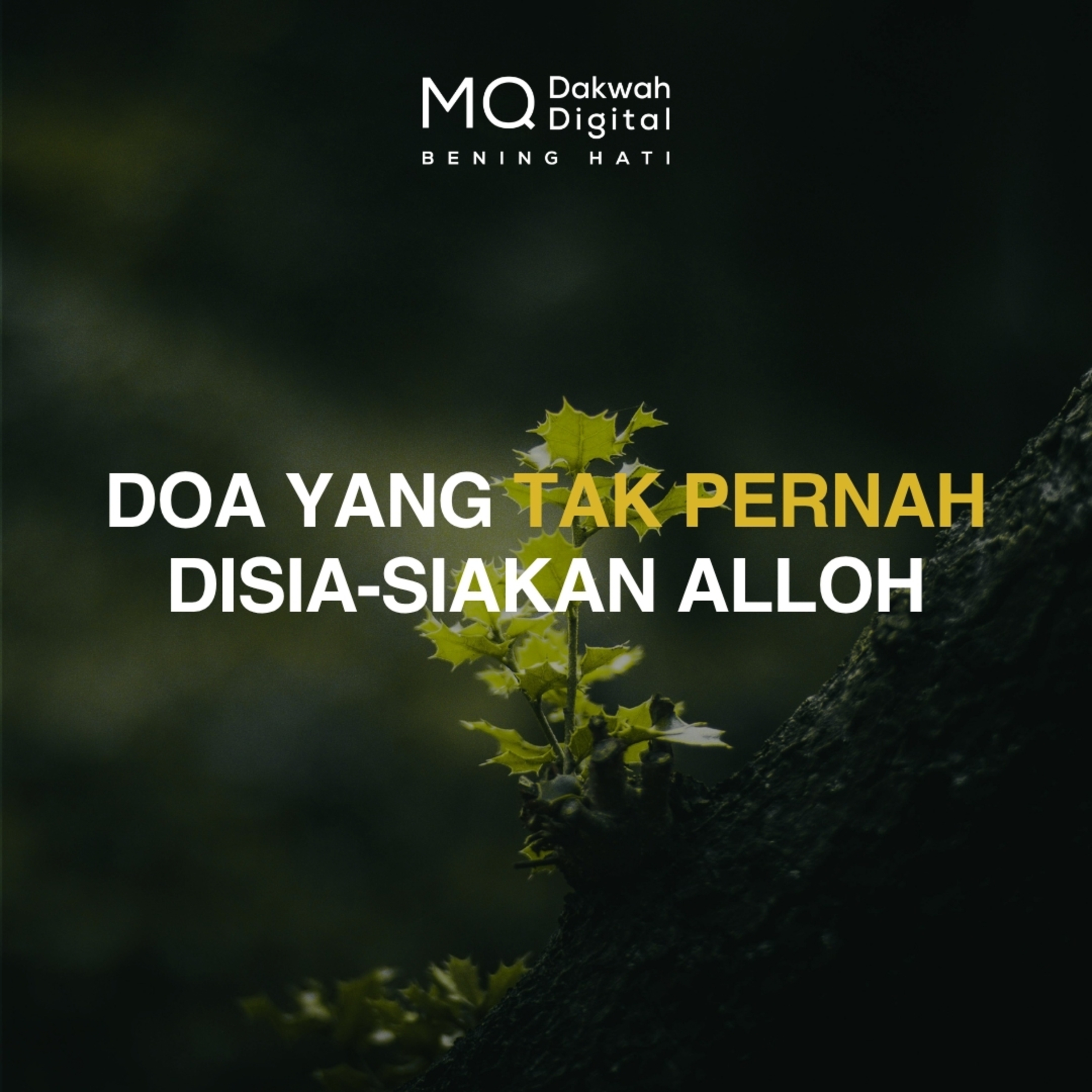 Doa yang Tak Pernah Disia-siakan Alloh