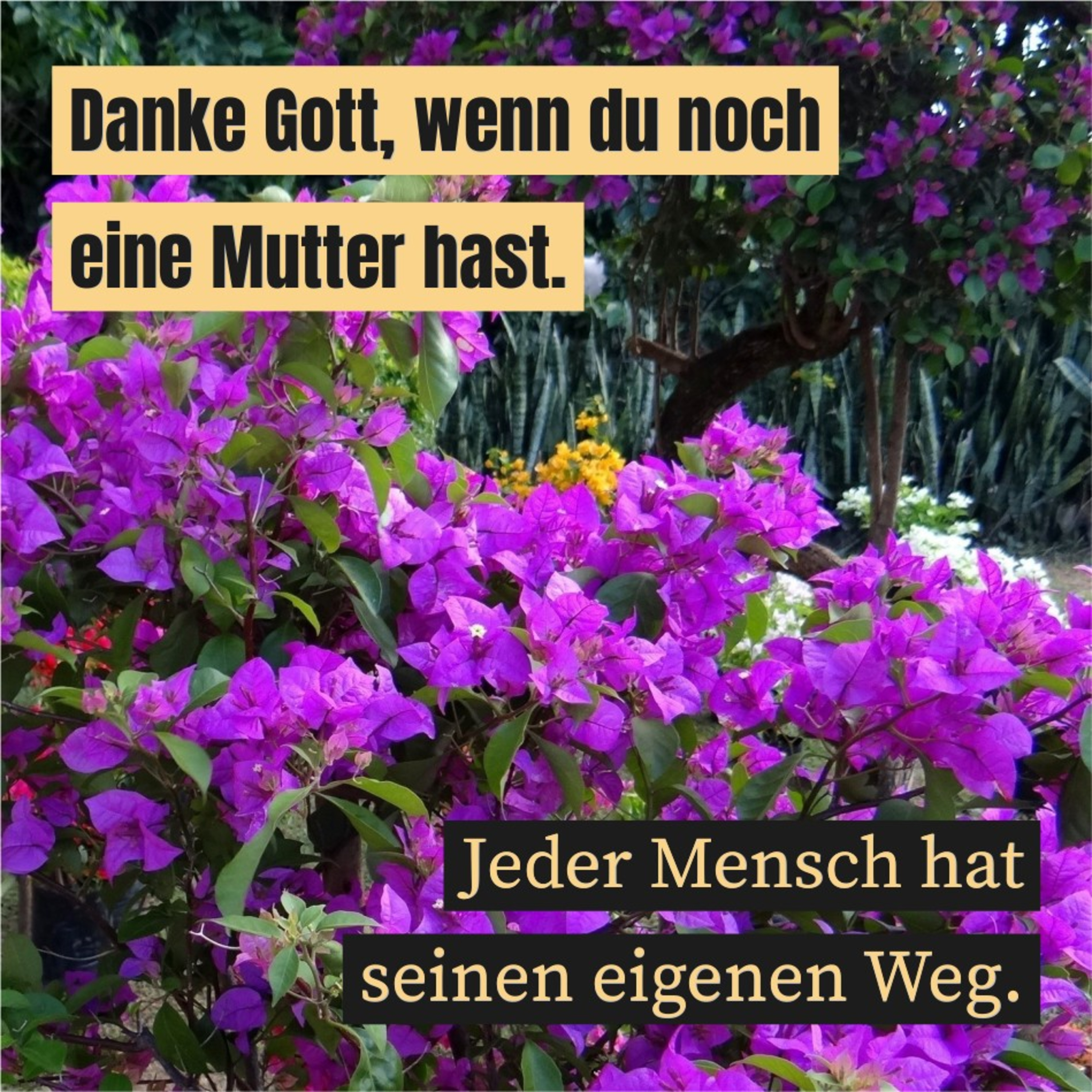 Die Kraft deiner Wünsche episode artwork