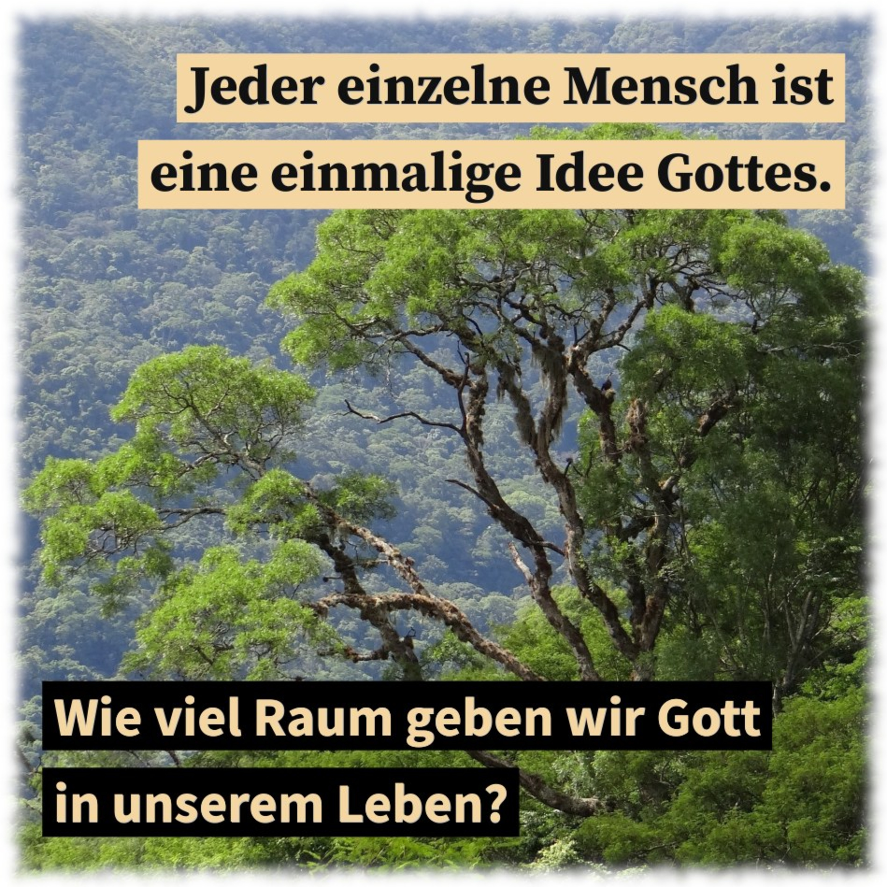 Beschränke Gott nicht episode artwork