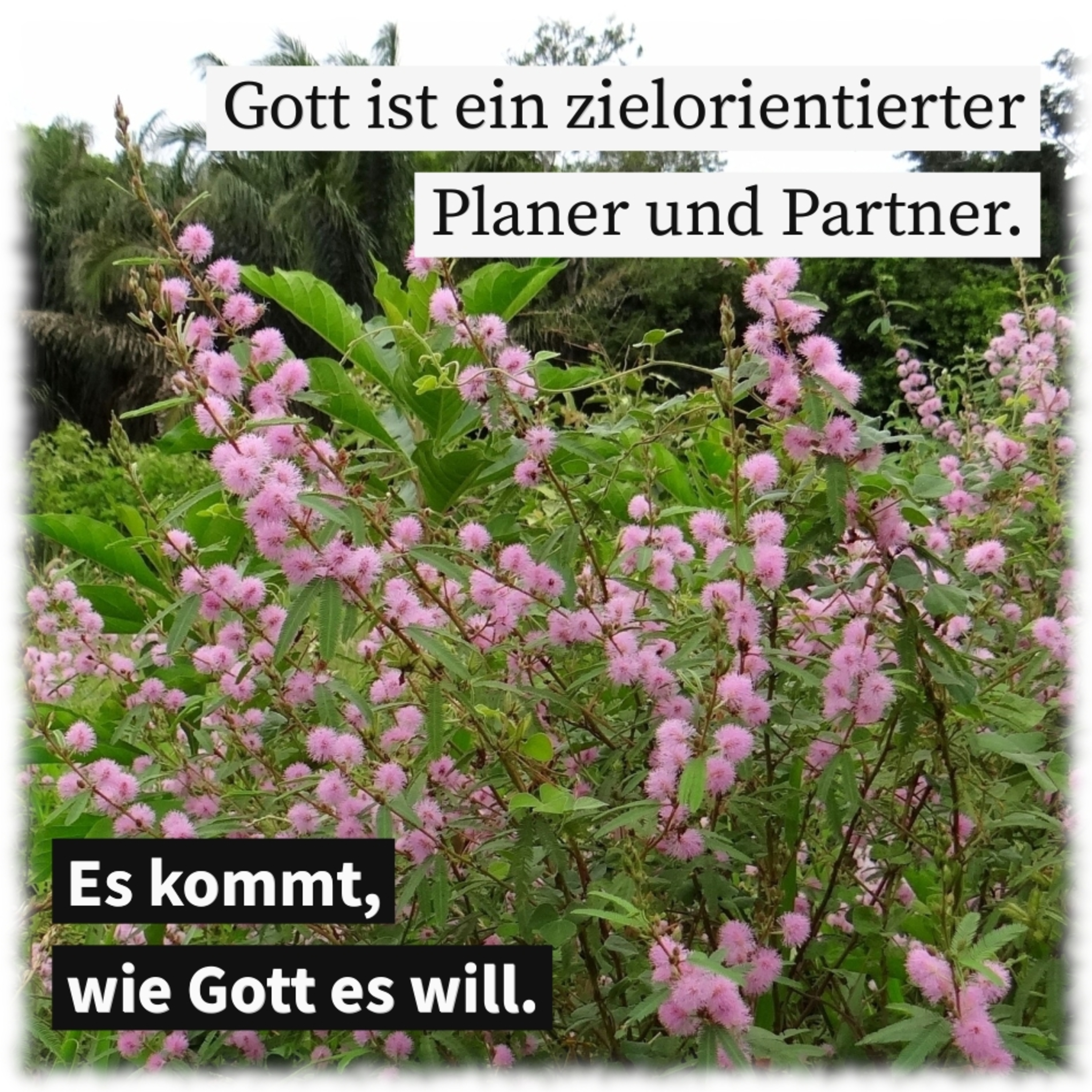 Jeder Tag ist ein neuer Auftrag episode artwork