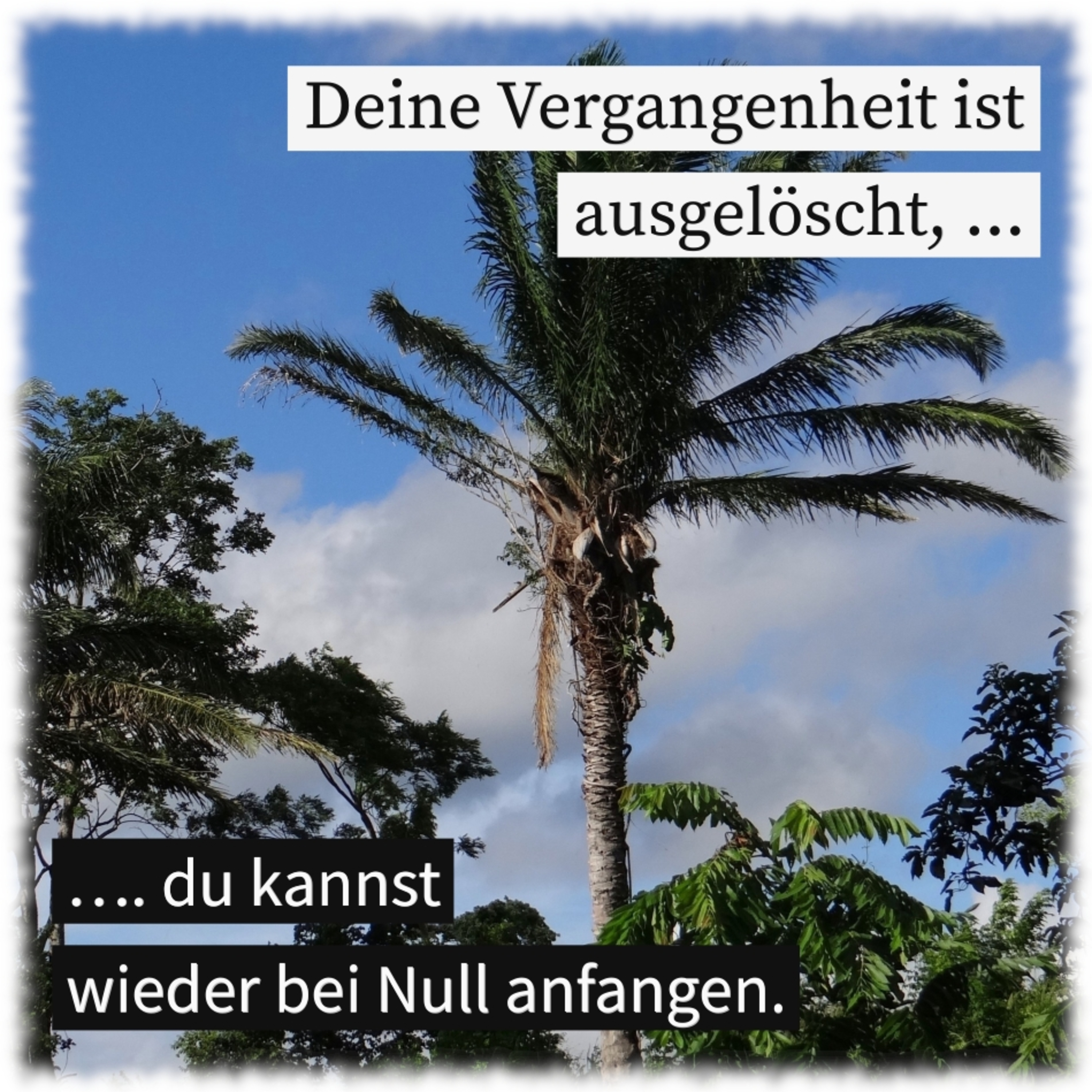Vorteile der Vergebung episode artwork
