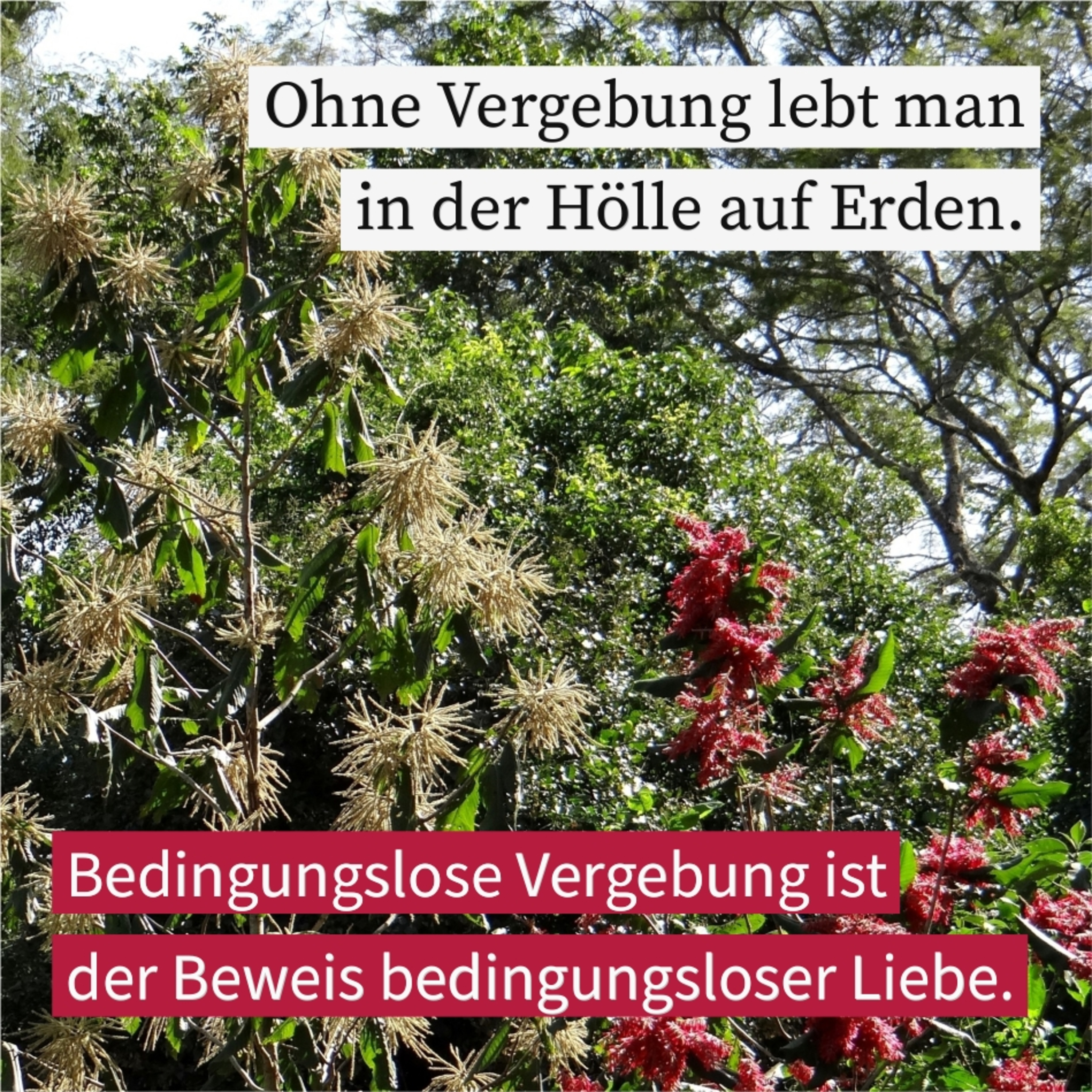 Gott will dir vergeben episode artwork